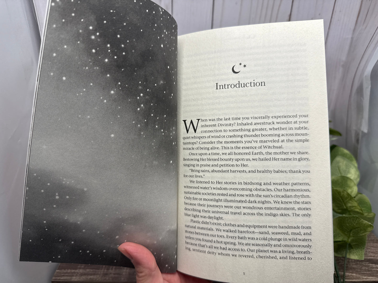 Witchual: Transformative Rituals to Reclaim Your Powerful Magik and Live a Fearlessly Authentic Life