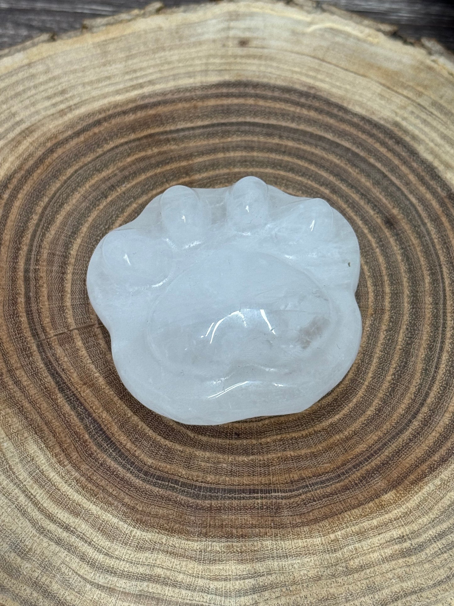 Paw Print Carvings