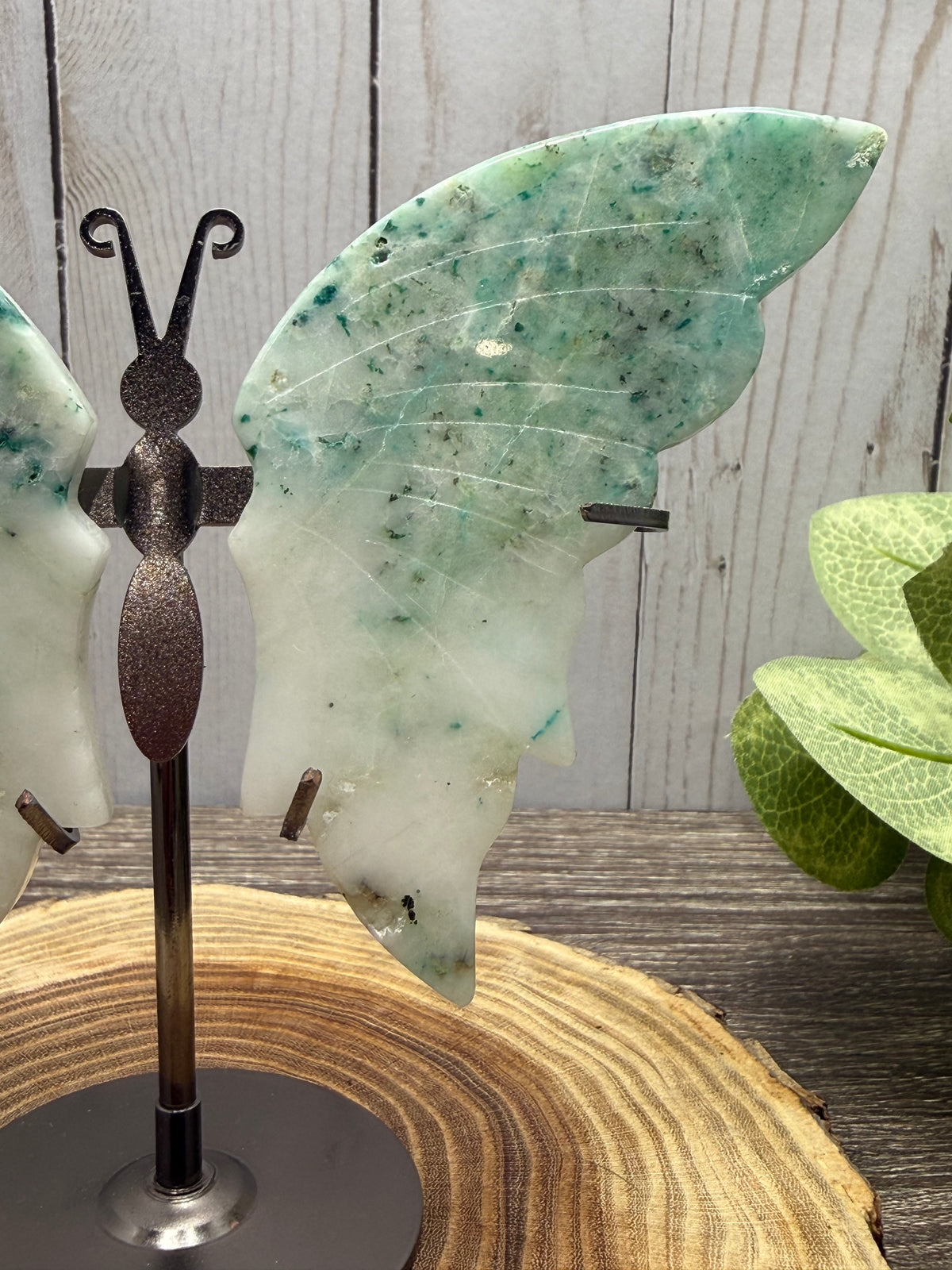 Butterfly Wings on Stand - Phoenix Stone