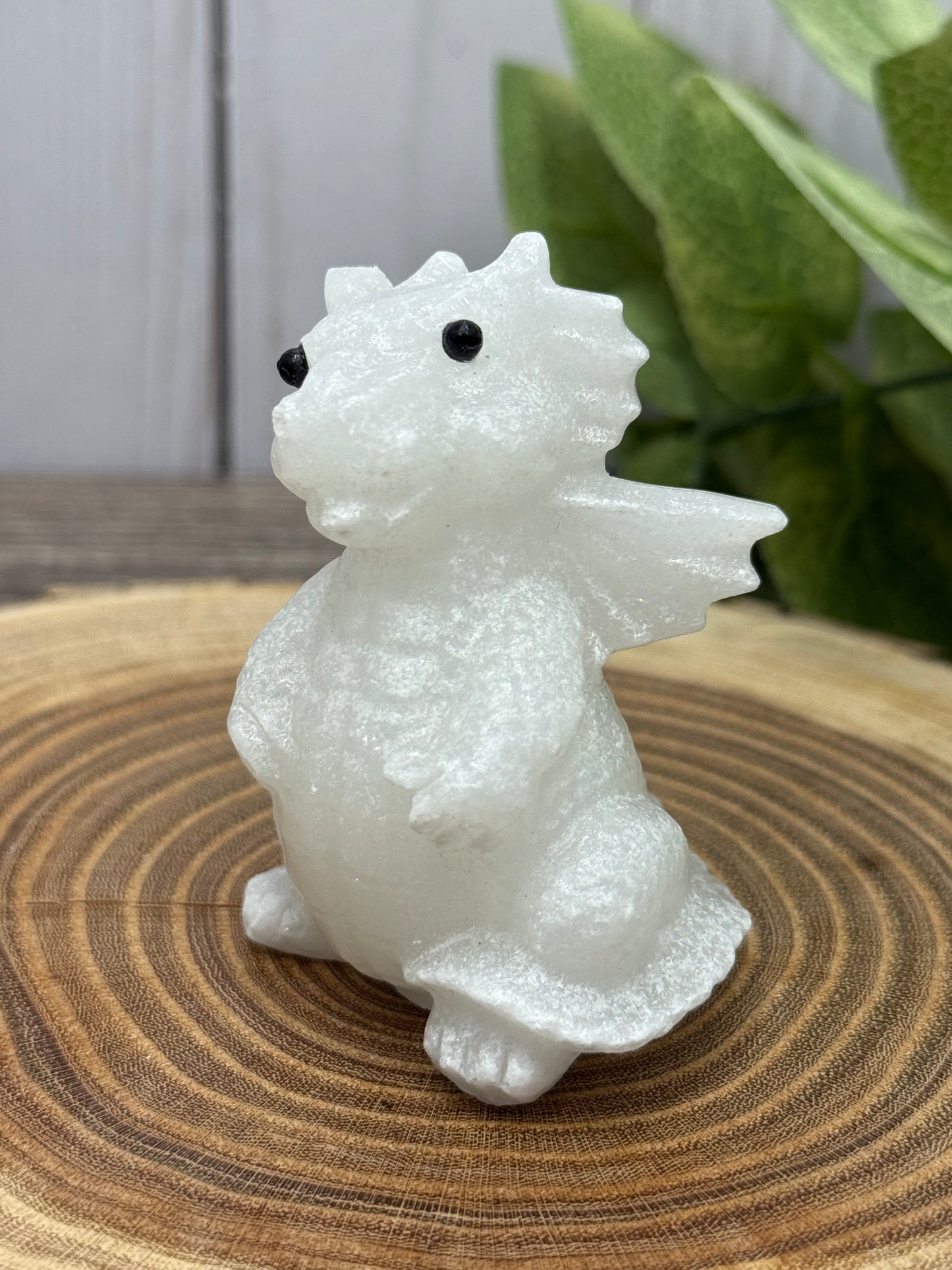 Baby Dragon - Small
