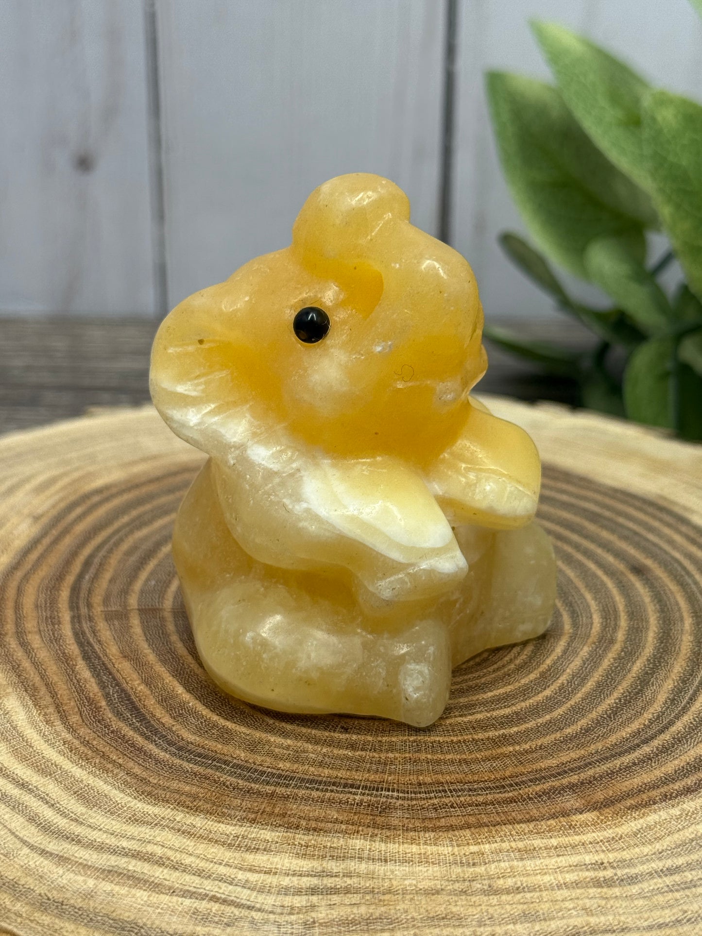 Elephant Carving