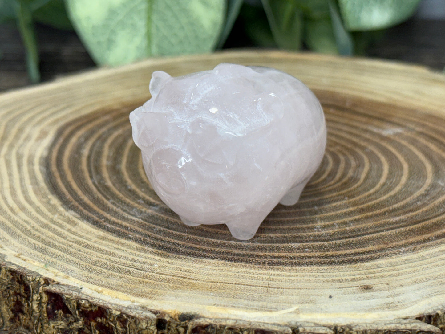 Pig with Mohawk Sunglasses - Rose Quartz