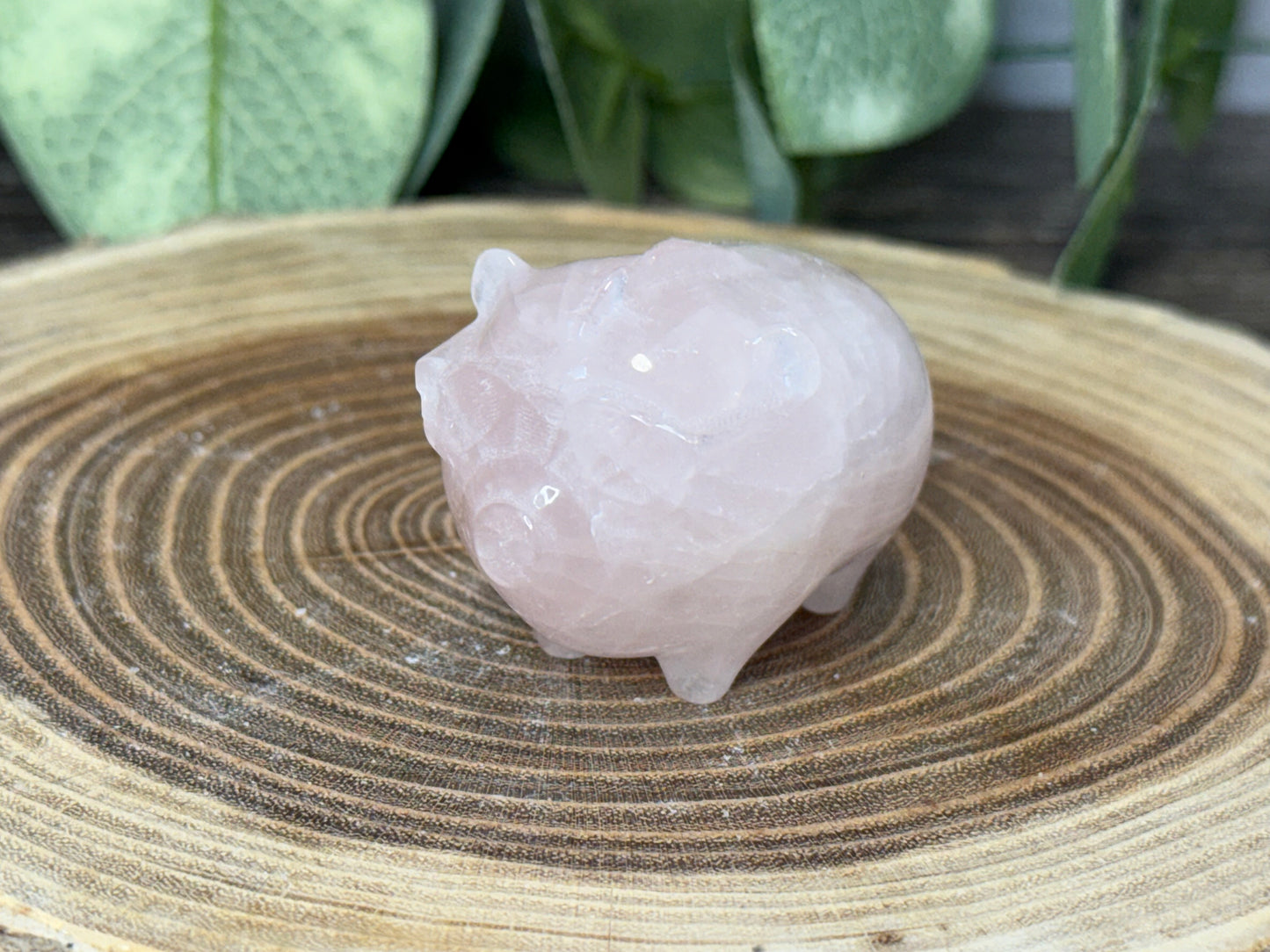 Pig with Mohawk Sunglasses - Rose Quartz