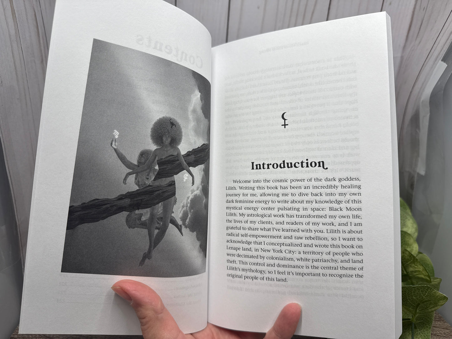 Black Moon Lilith Rising: How to Unlock the Power of the Dark Divine Feminine Through Astrology