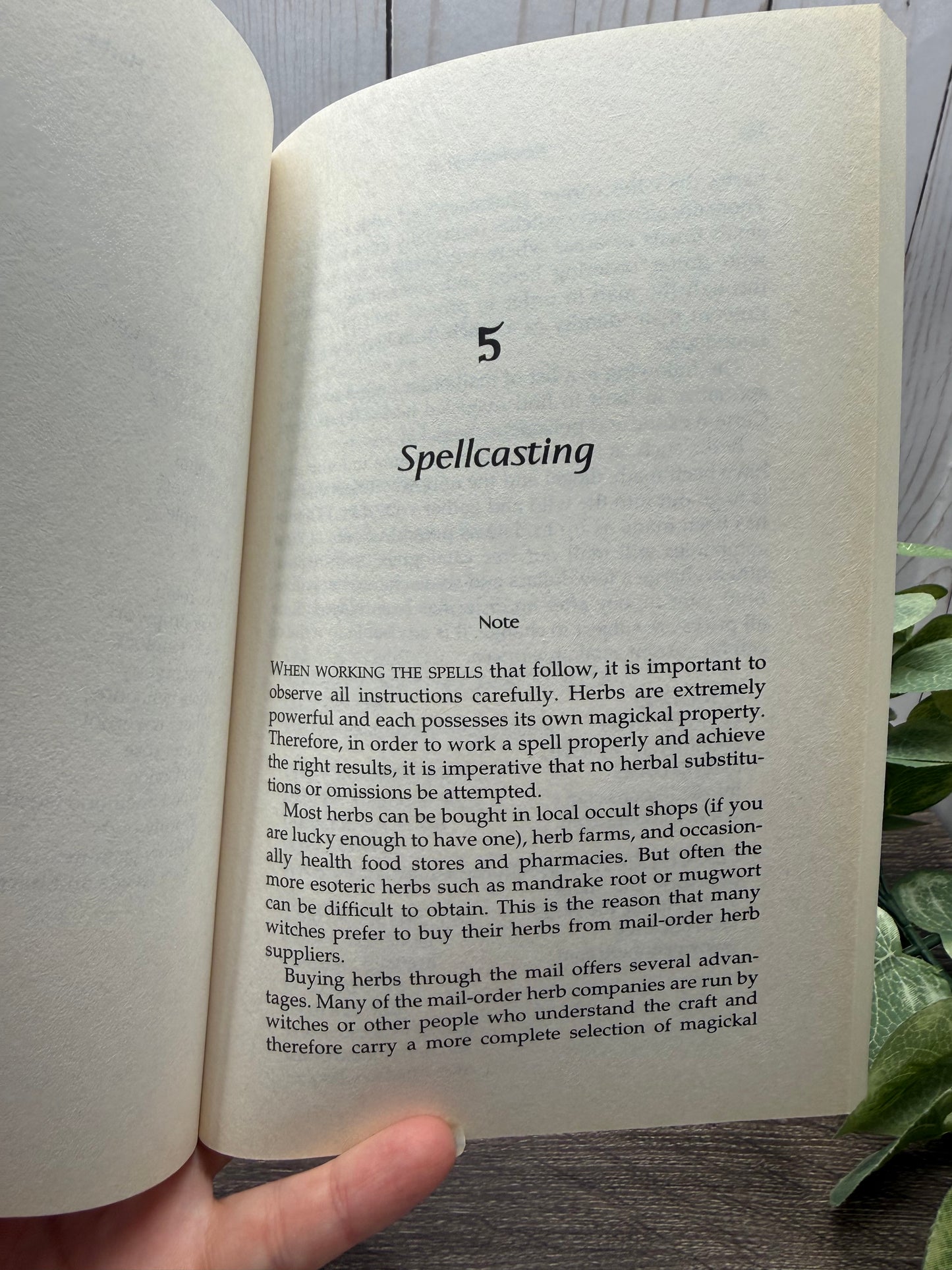 Candlelight Spells: The Modern Witch's Book of Spellcasting, Feasting, and Natural Healing