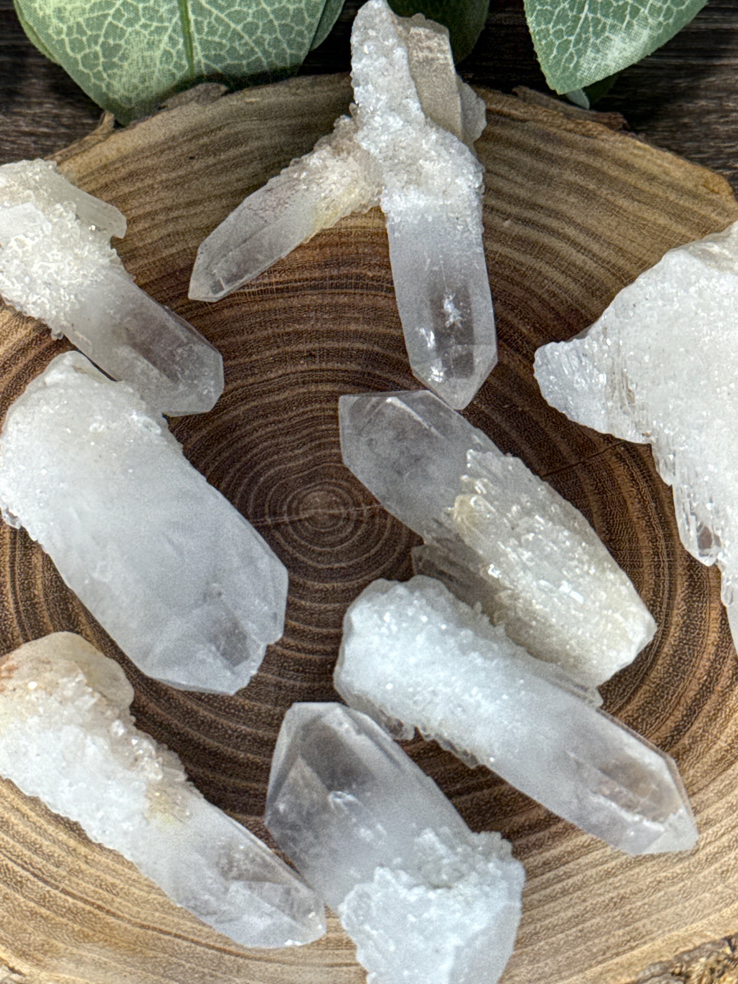 Sugar Points - Raw Material