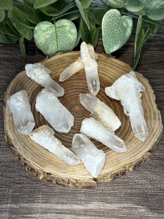 Sugar Points - Raw Material