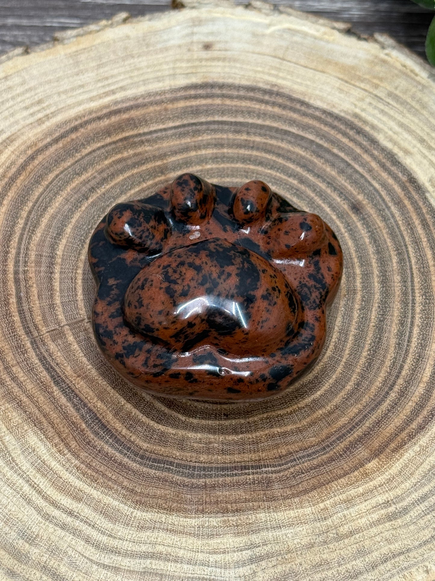 Paw Print Carvings