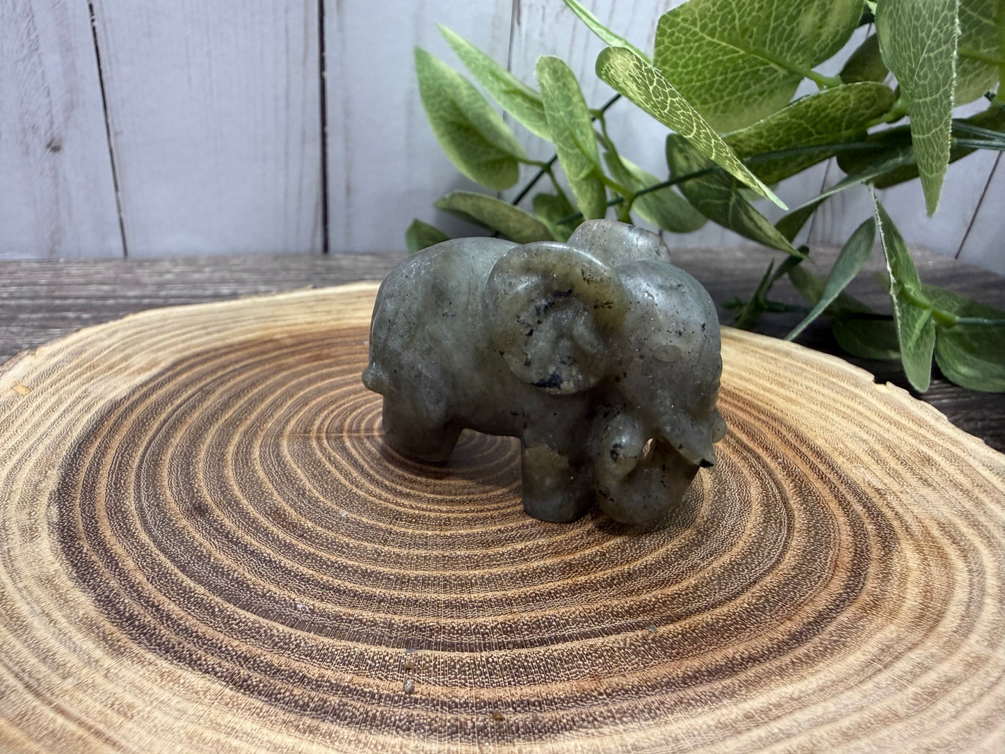 Labradorite Elephant Carvings