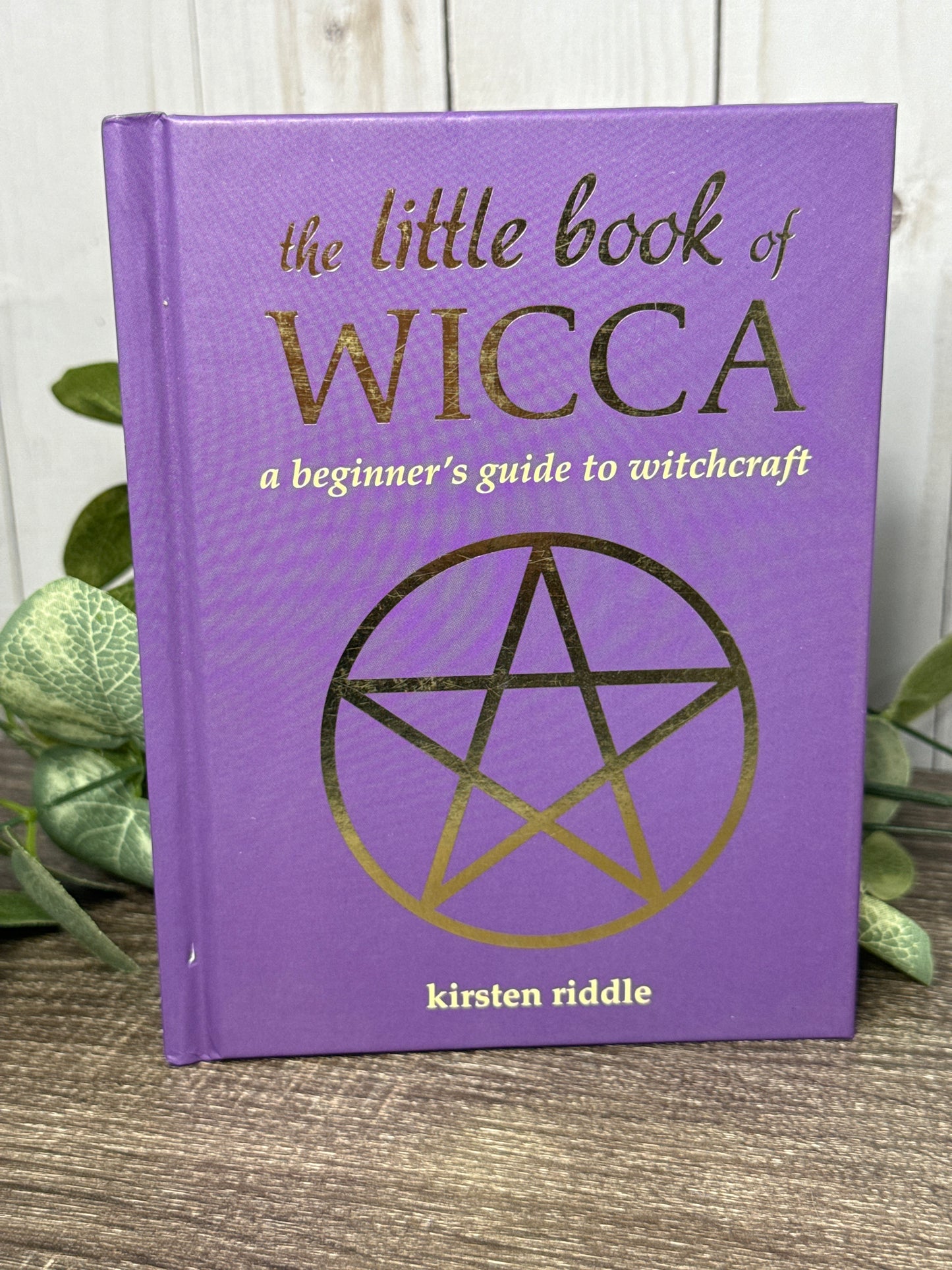 The Little Book of Wicca: a beginner's guide to witchcraft