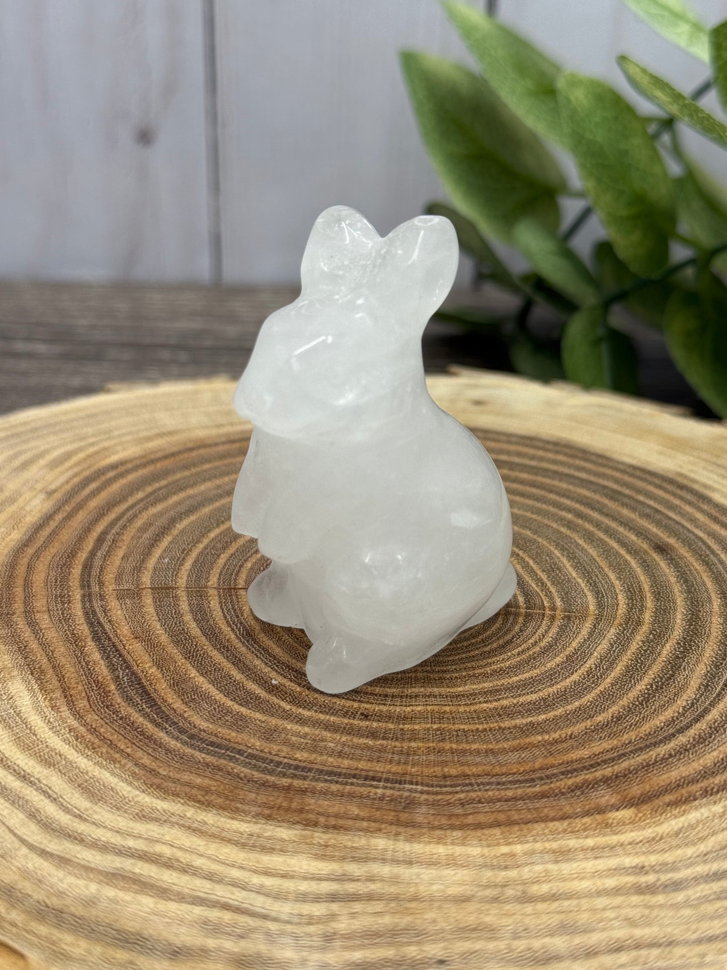 Rabbit Carvings