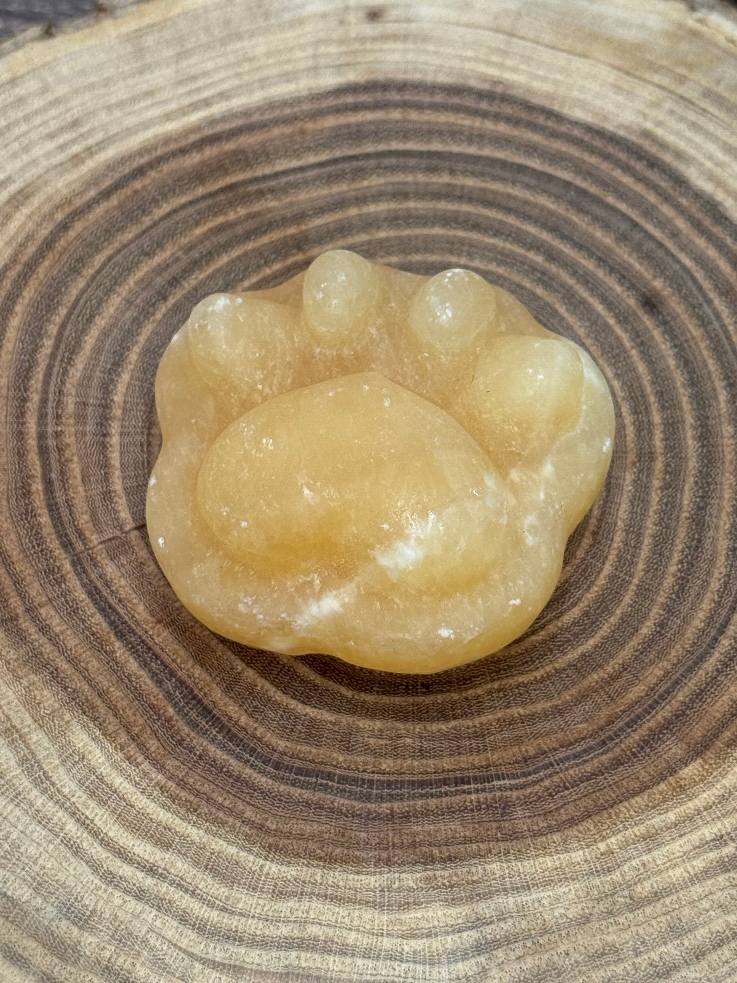Paw Print Carvings