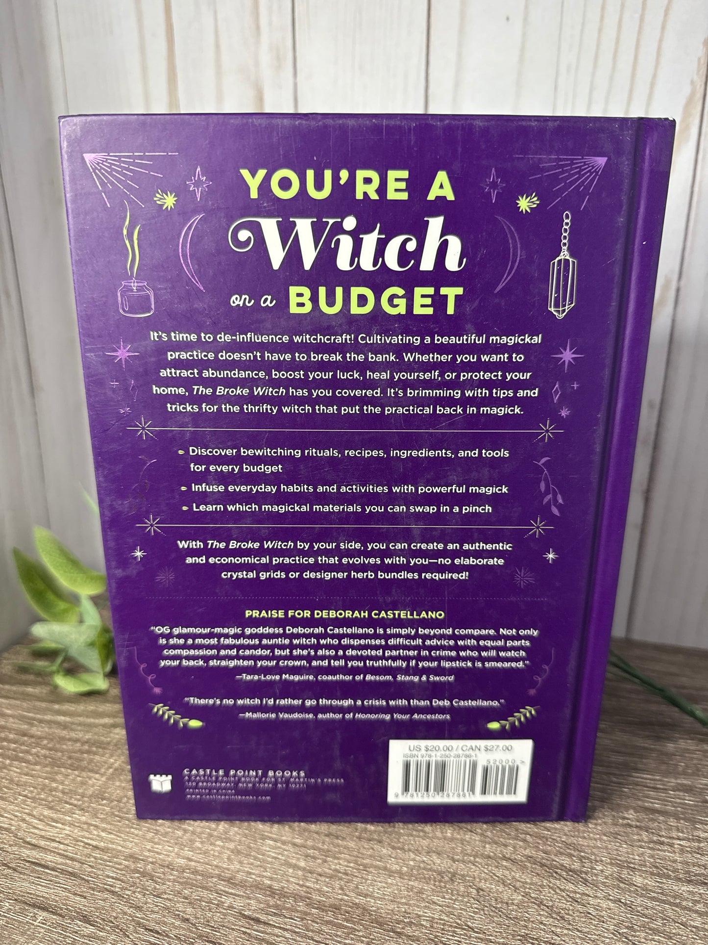 The Broke Witch: Magick Spells and Powerful Potions that you can grow, find, or already have