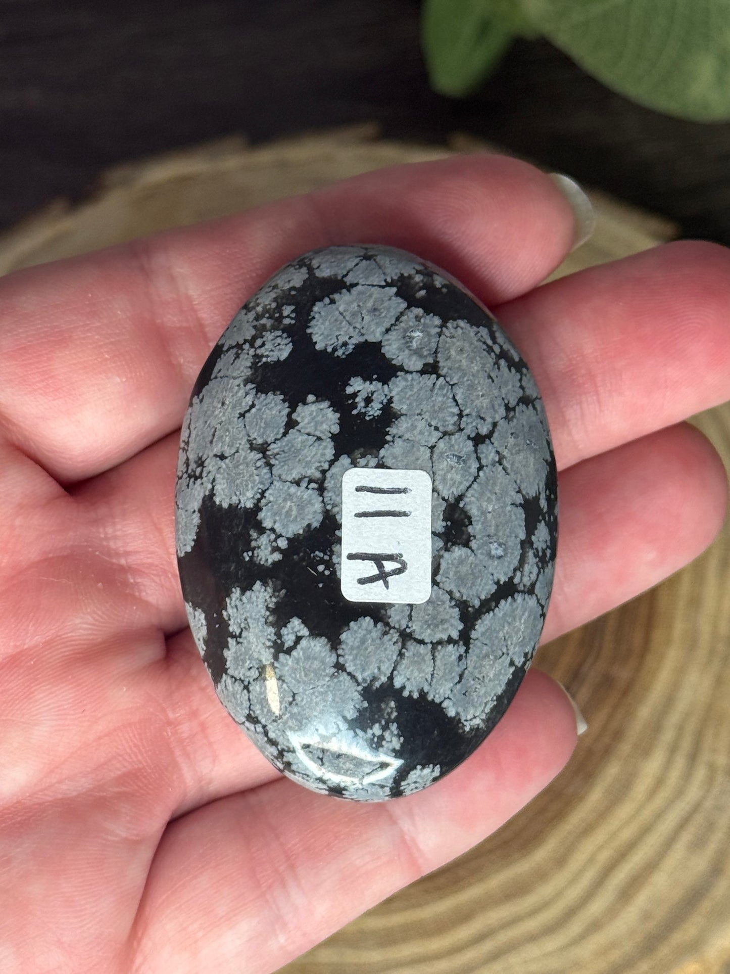 Snowflake Obsidian Palm Stones