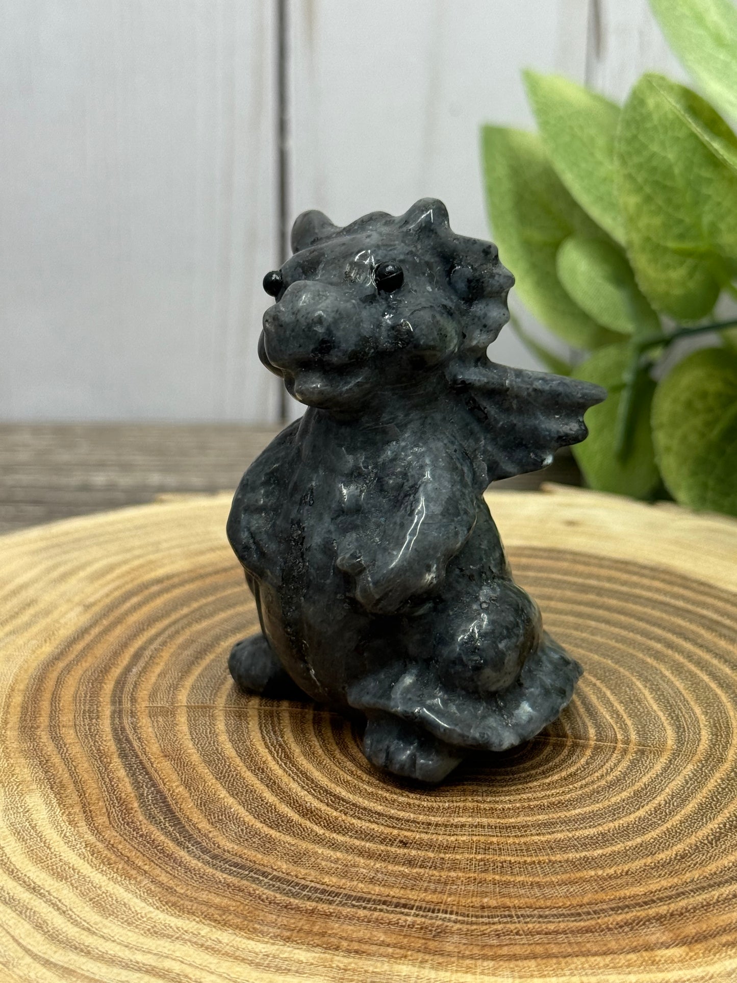 Baby Dragon - Small