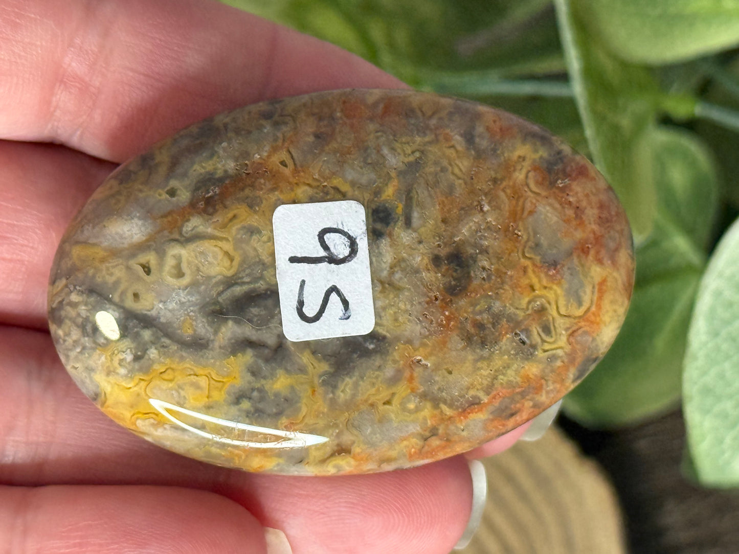 Lace Agate Palm Stones