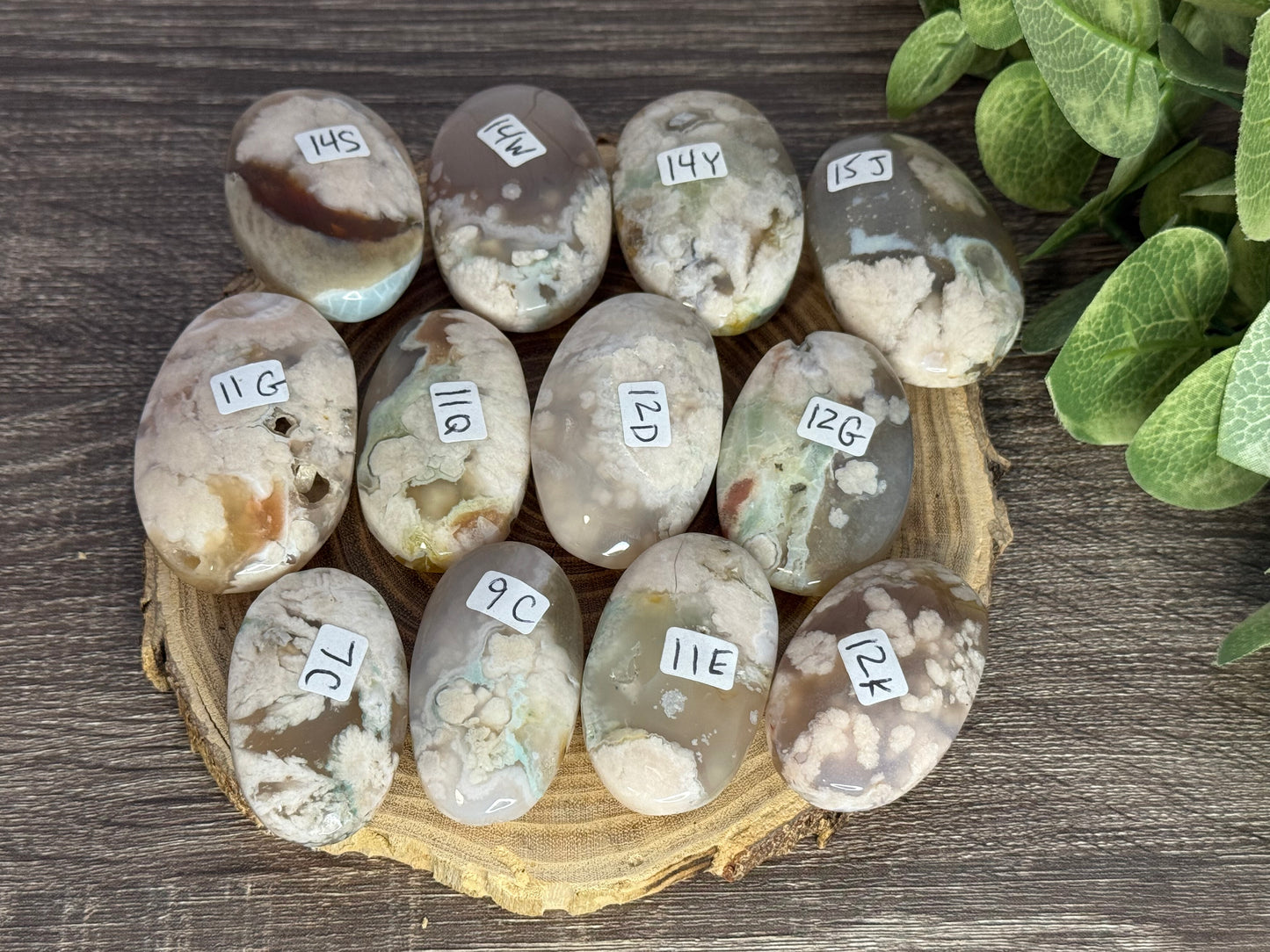 Flower Agate Palm Stones