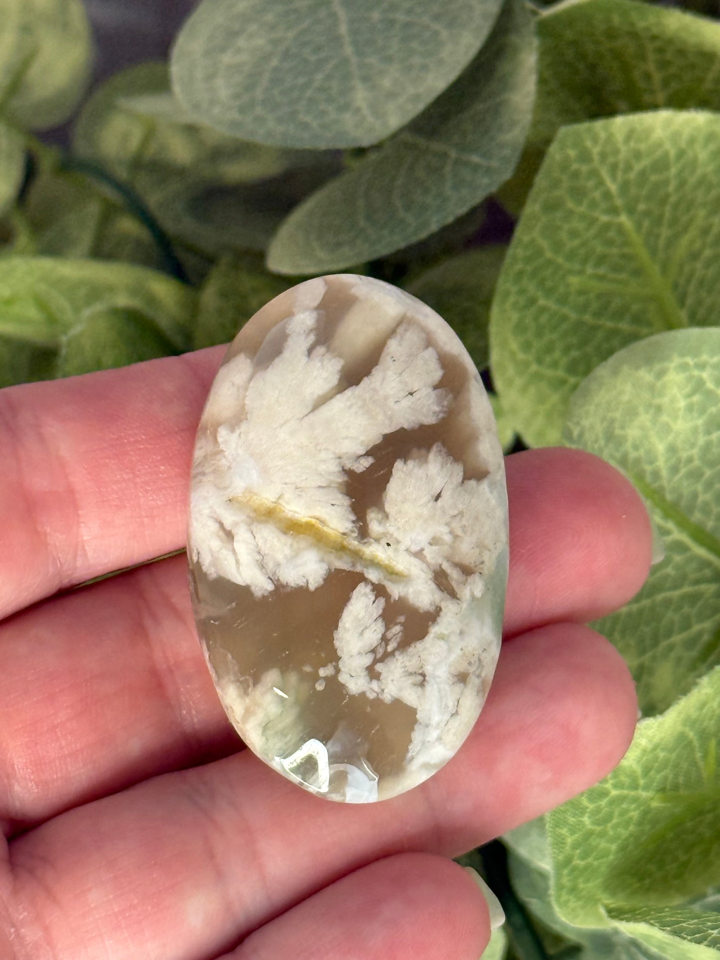 Flower Agate Palm Stones