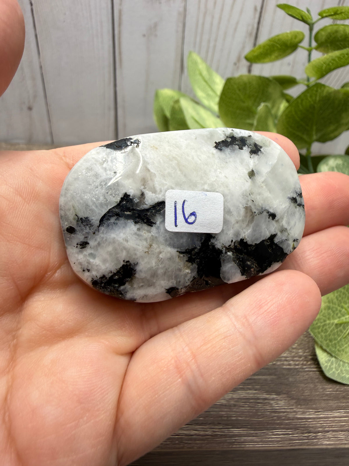 Rainbow Moonstone Palm Stone