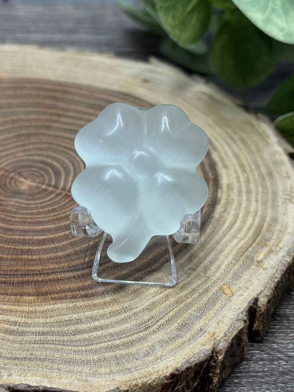 Four Leaf Clovers - Cats Eye Crystal