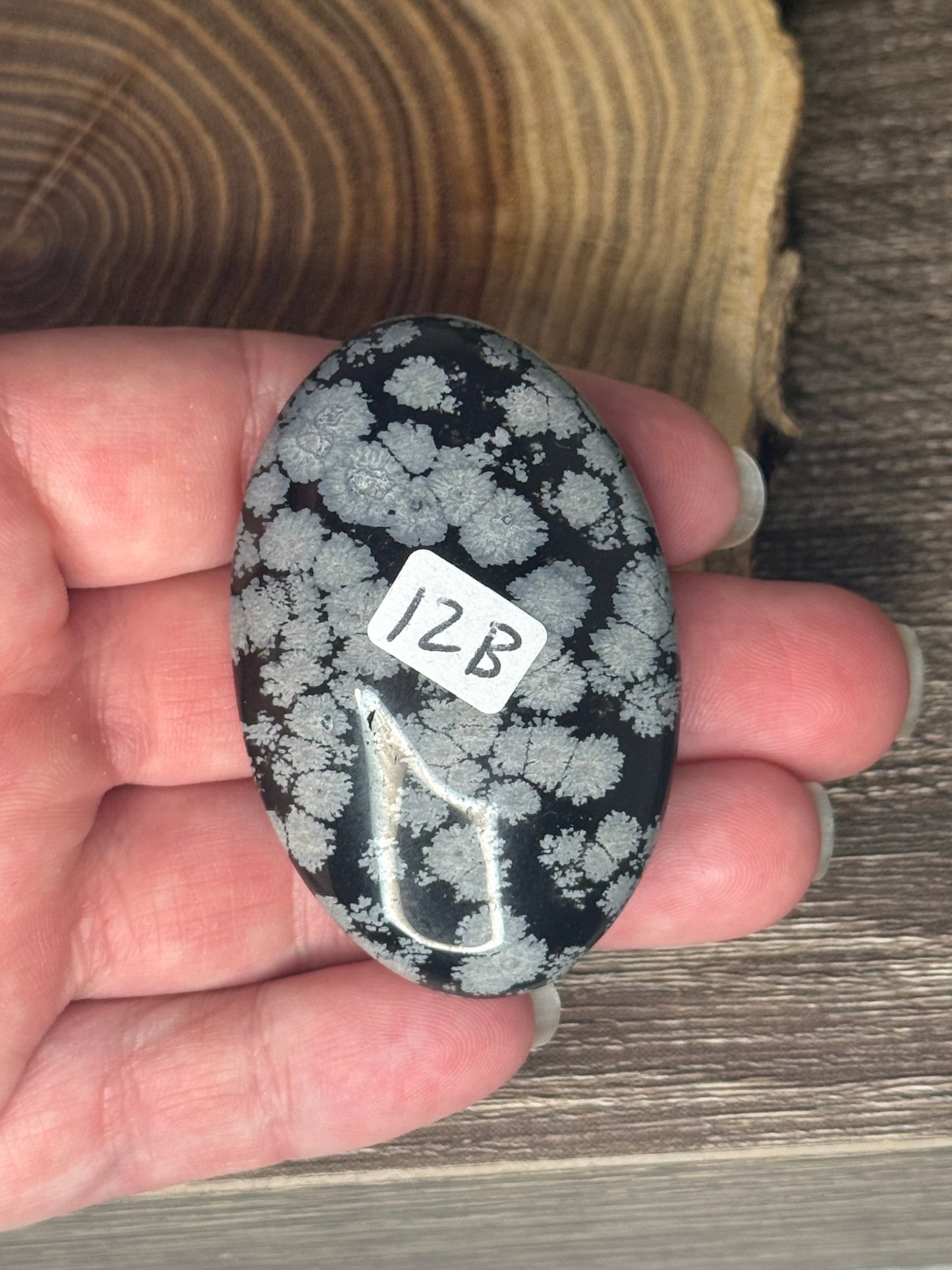 Snowflake Obsidian Palm Stones