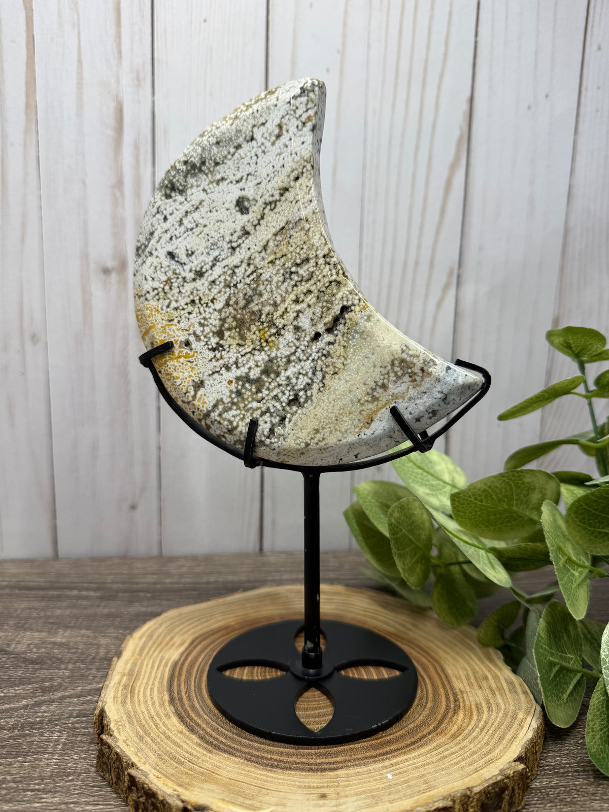 Ocean Jasper Moons on Stands