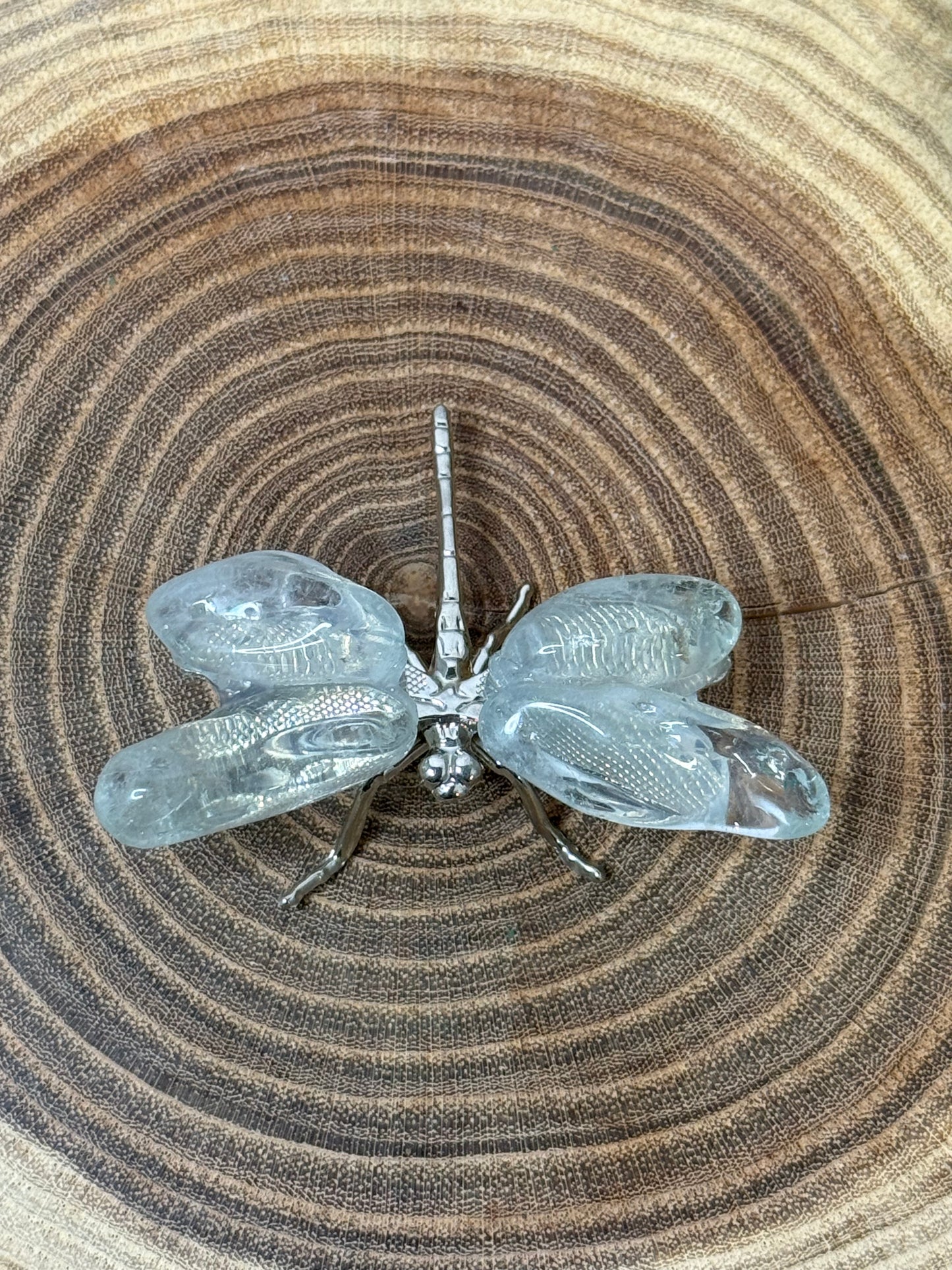 Dragonflies