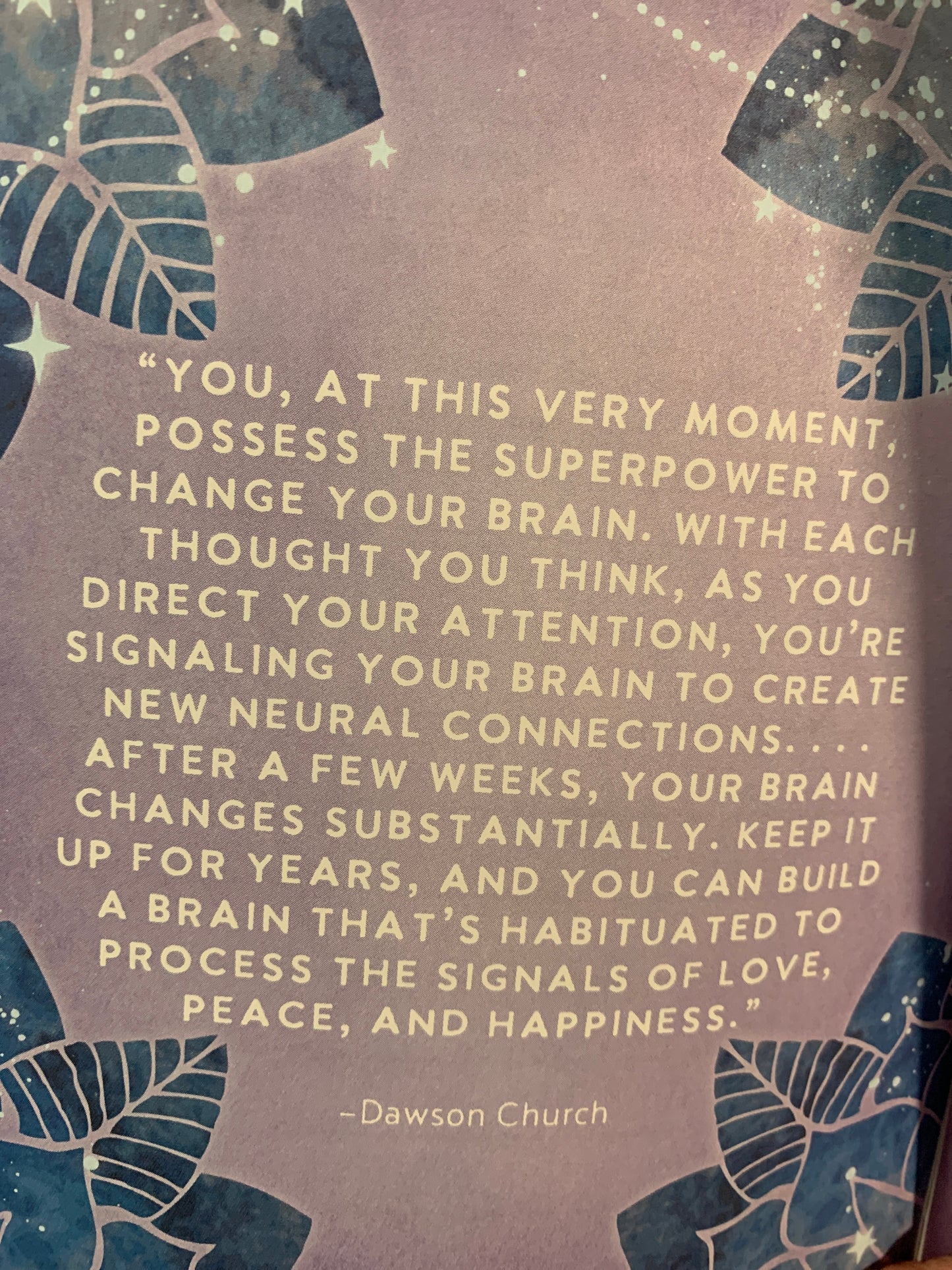 Positive Manifestation Journal
