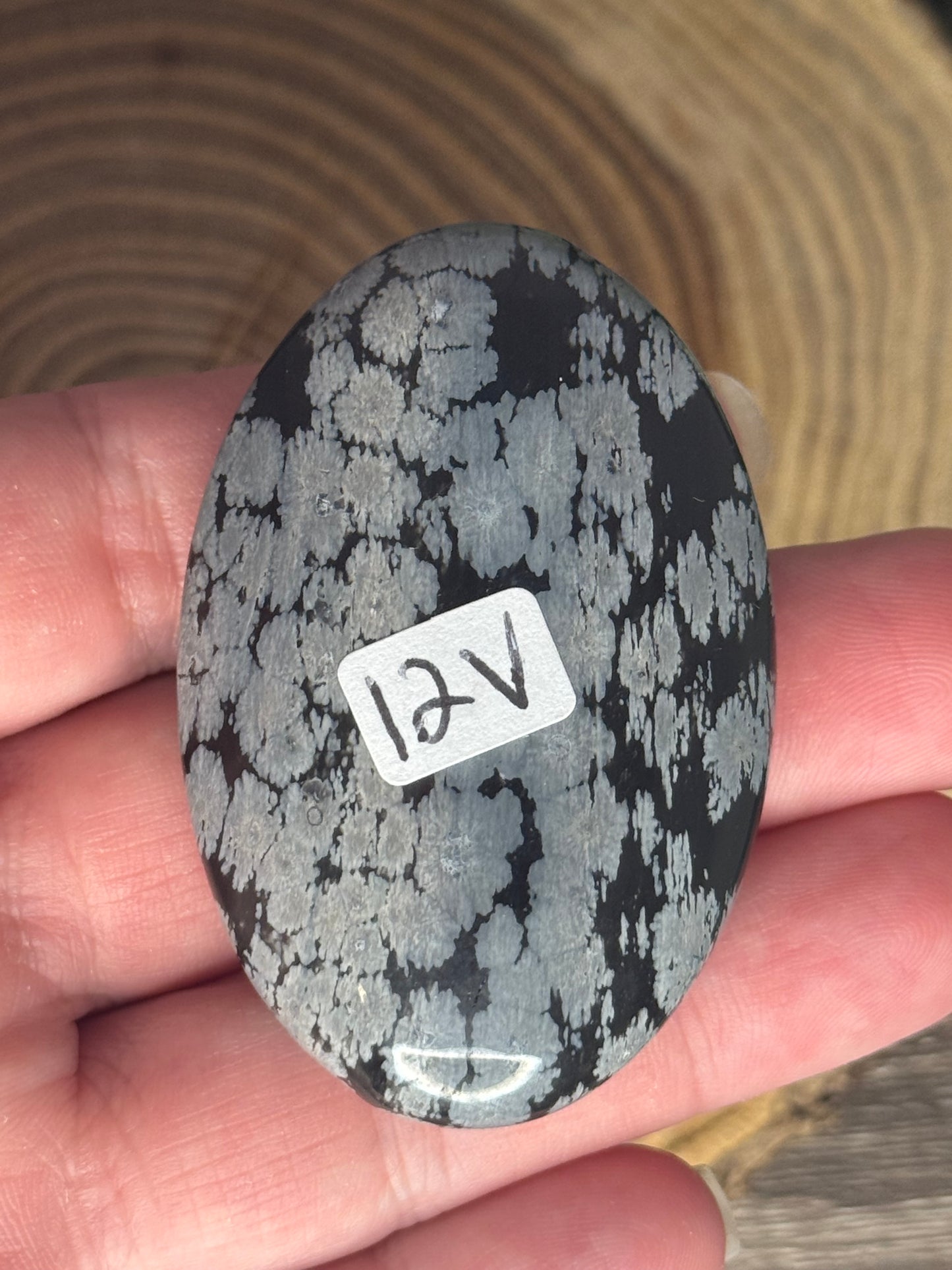 Snowflake Obsidian Palm Stones