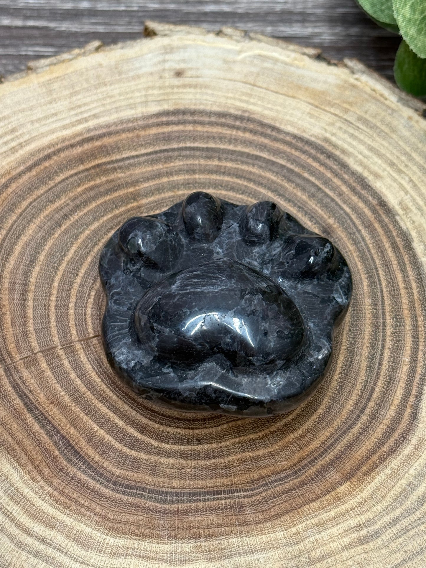 Paw Print Carvings