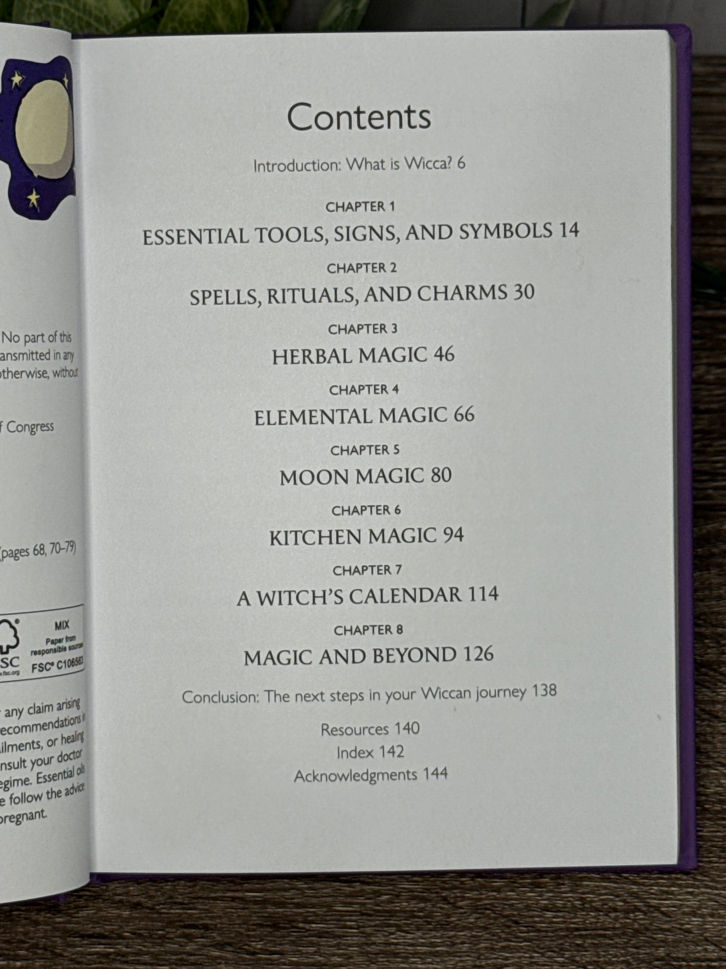 The Little Book of Wicca: a beginner's guide to witchcraft