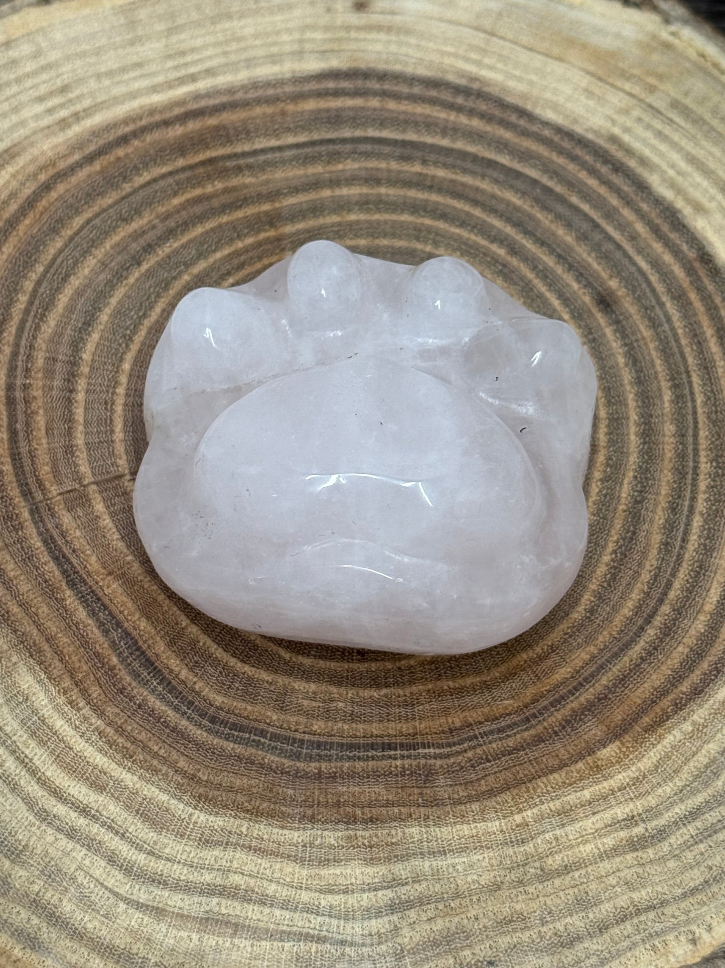 Paw Print Carvings