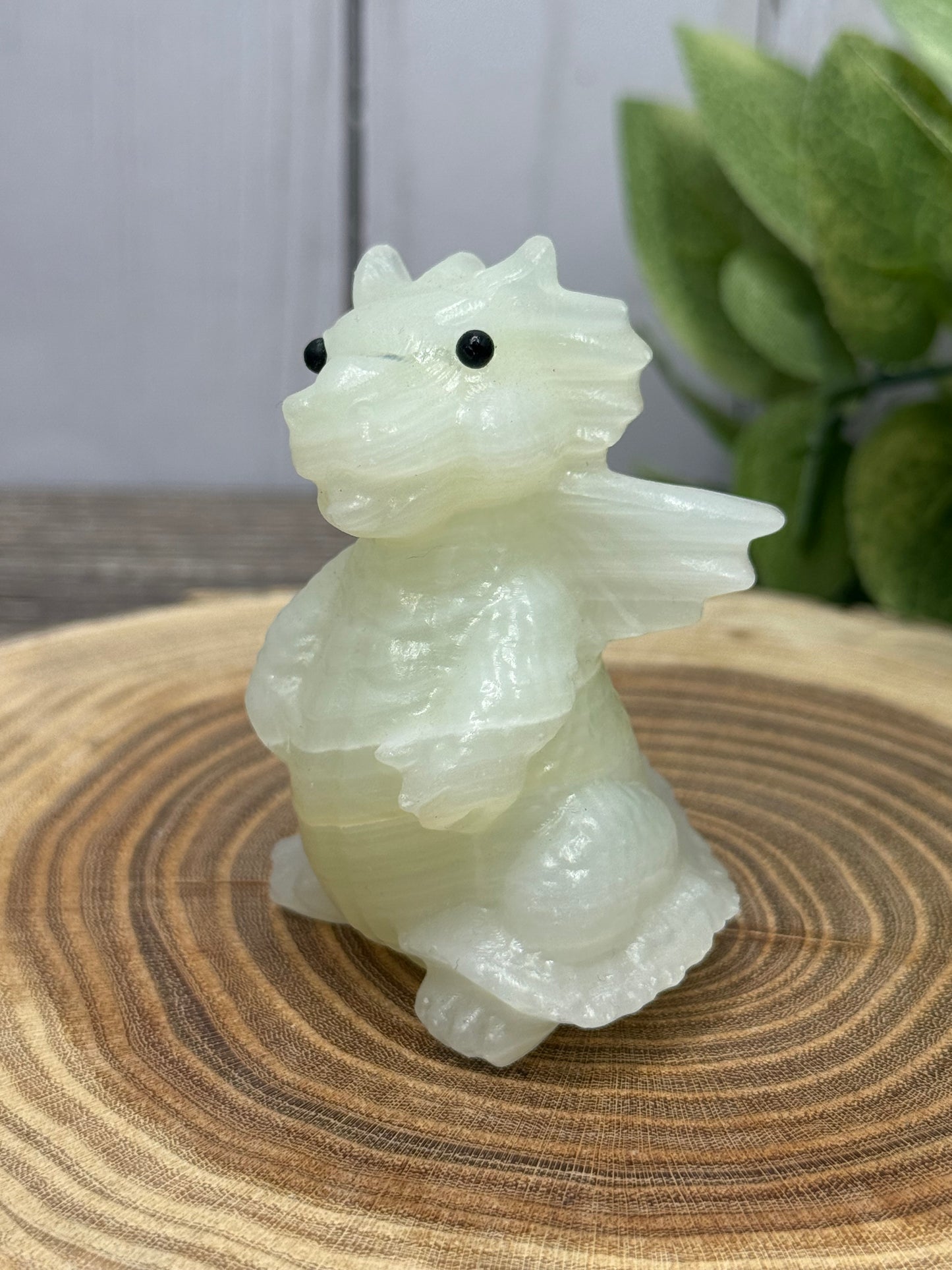 Baby Dragon - Small