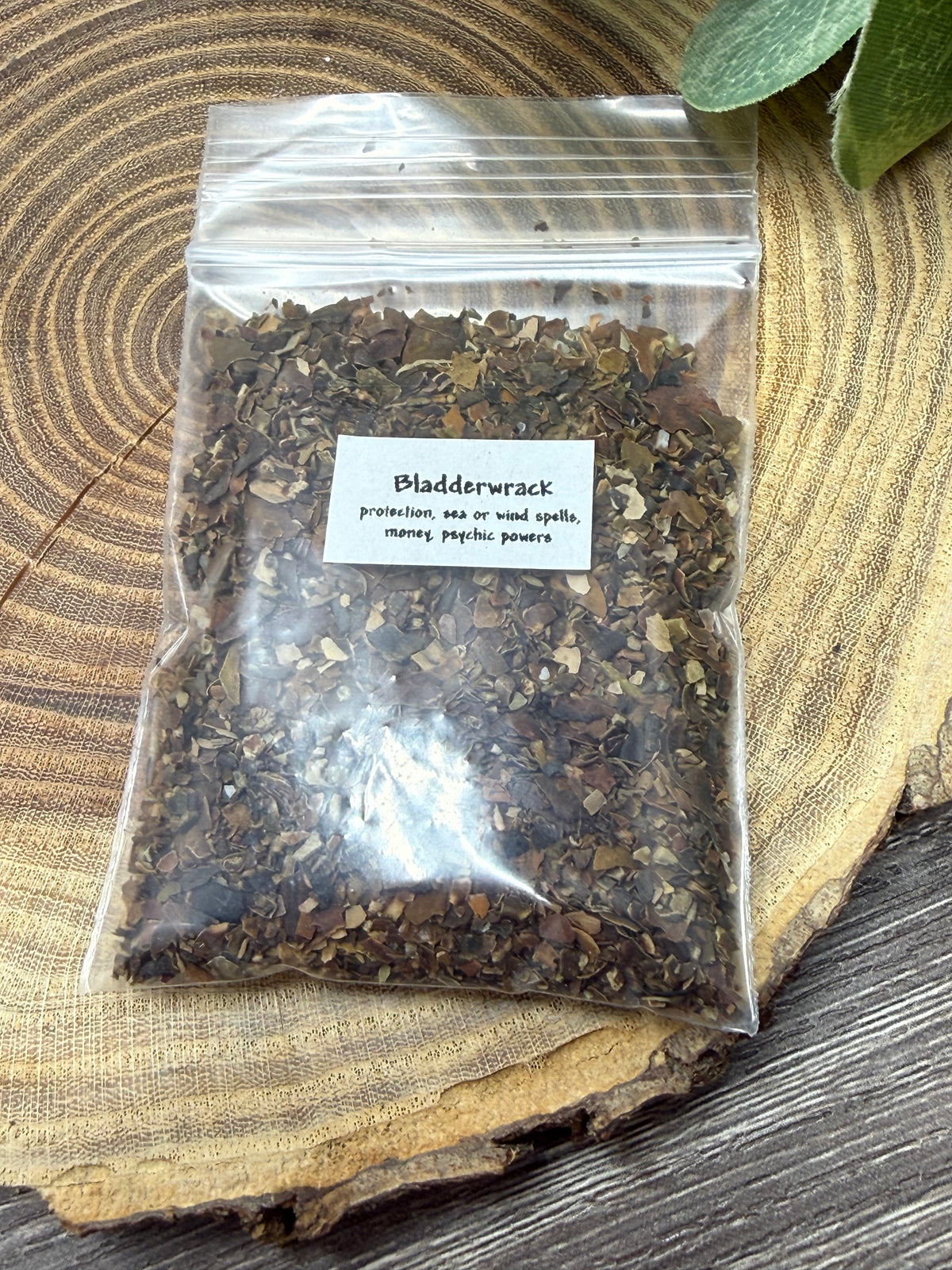 Bladderwrack - Magick Herbs (Bagged)