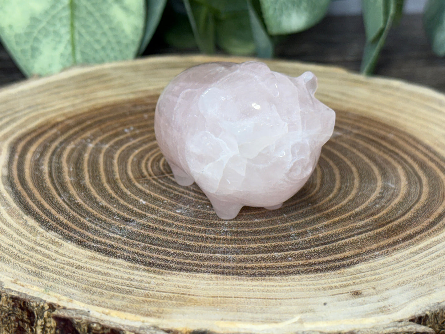Pig with Mohawk Sunglasses - Rose Quartz