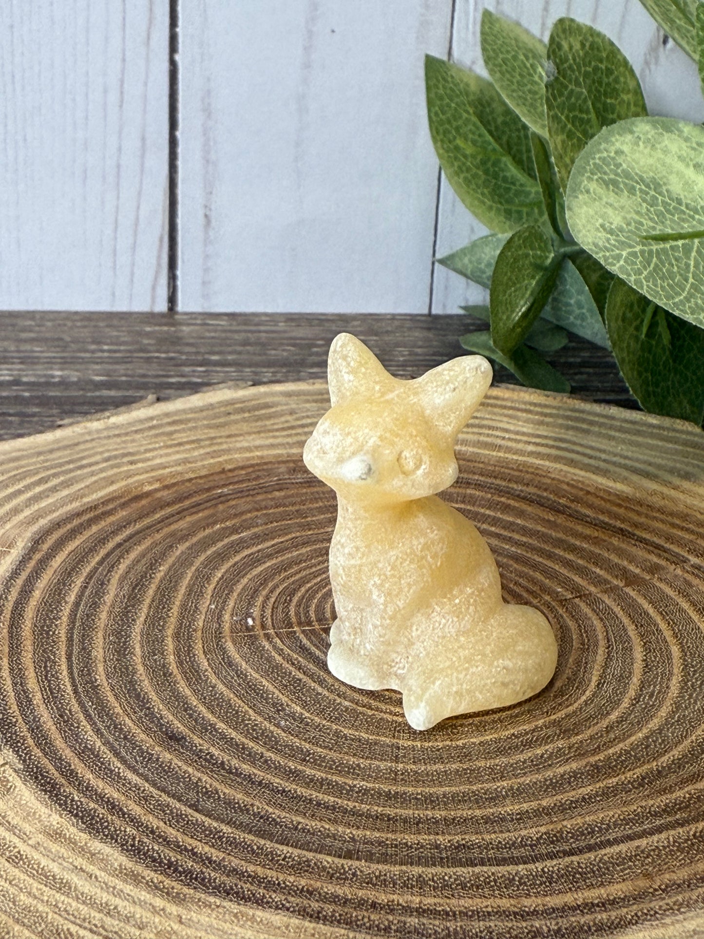 Fox Carvings