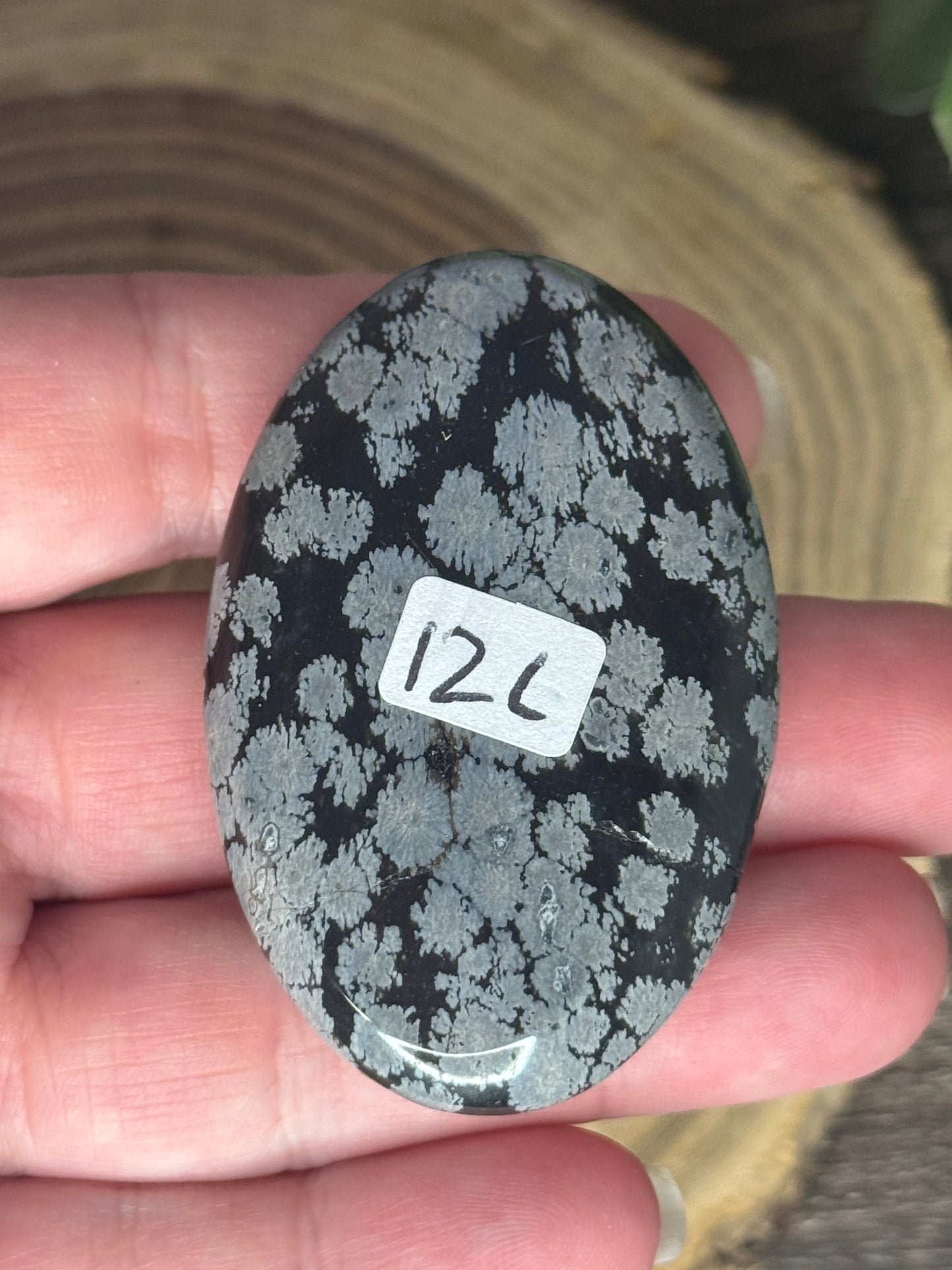 Snowflake Obsidian Palm Stones