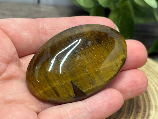 Tigers Eye Palm Stones