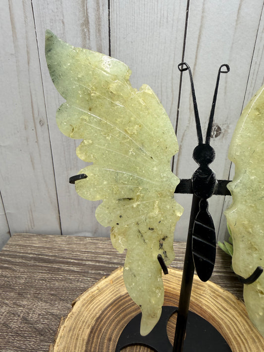 Large Butterfly Wings on Stand - Prenite