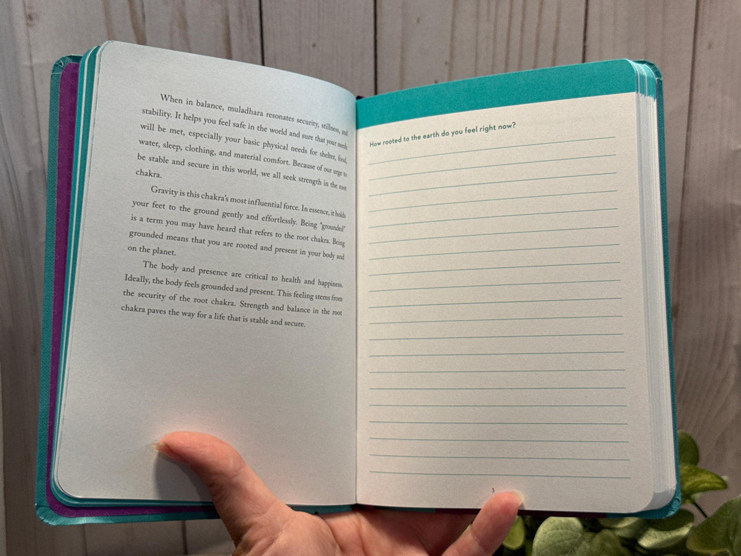 Guided Journal A Little Bit of Chakras: Your Personal Path to Energy Healing