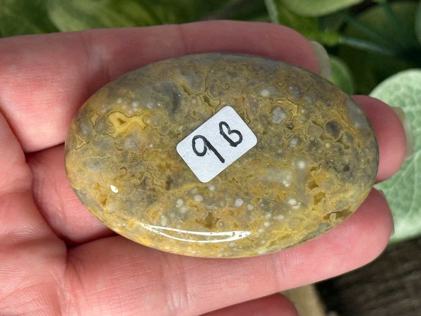 Lace Agate Palm Stones