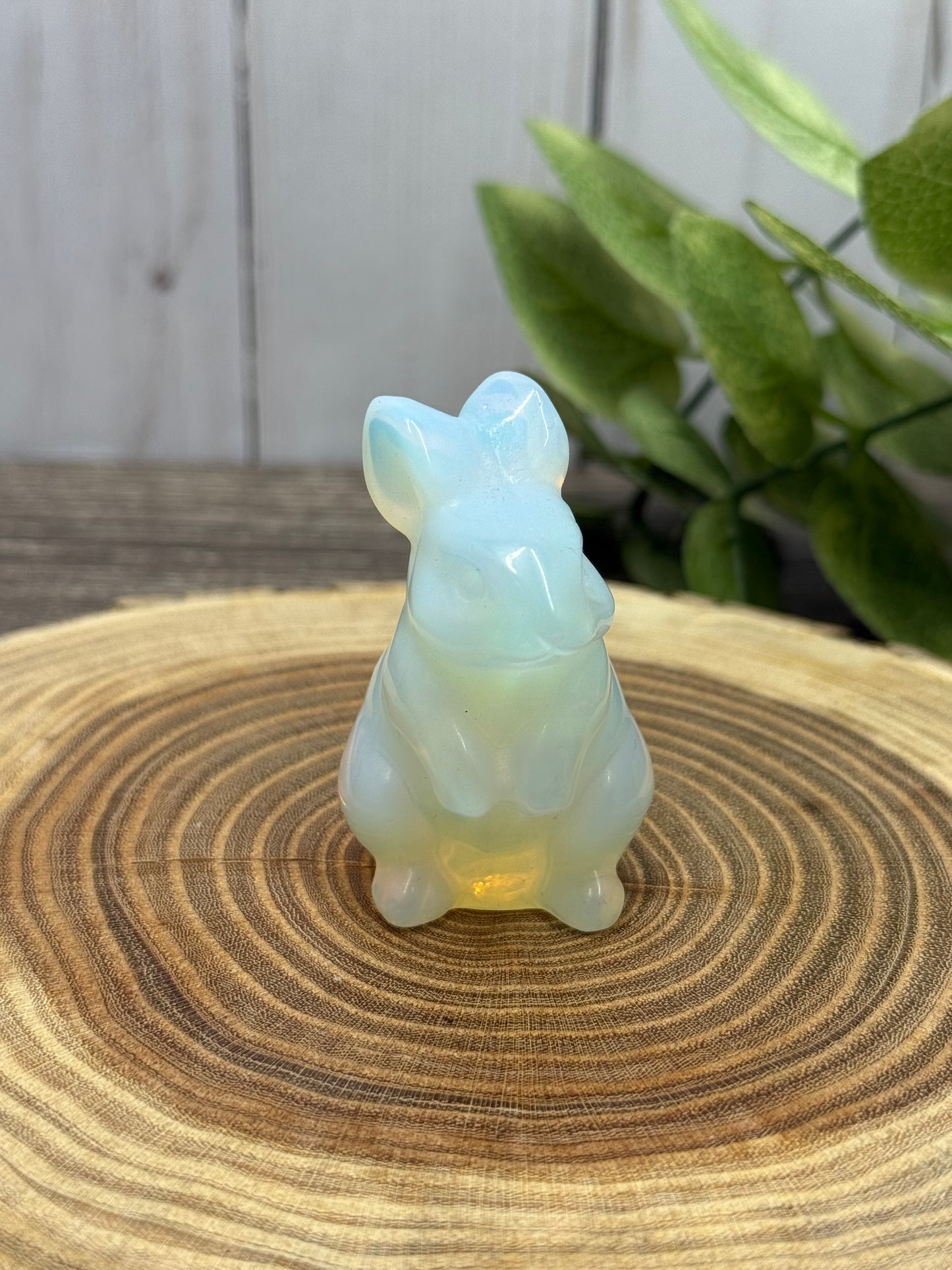 Rabbit Carvings
