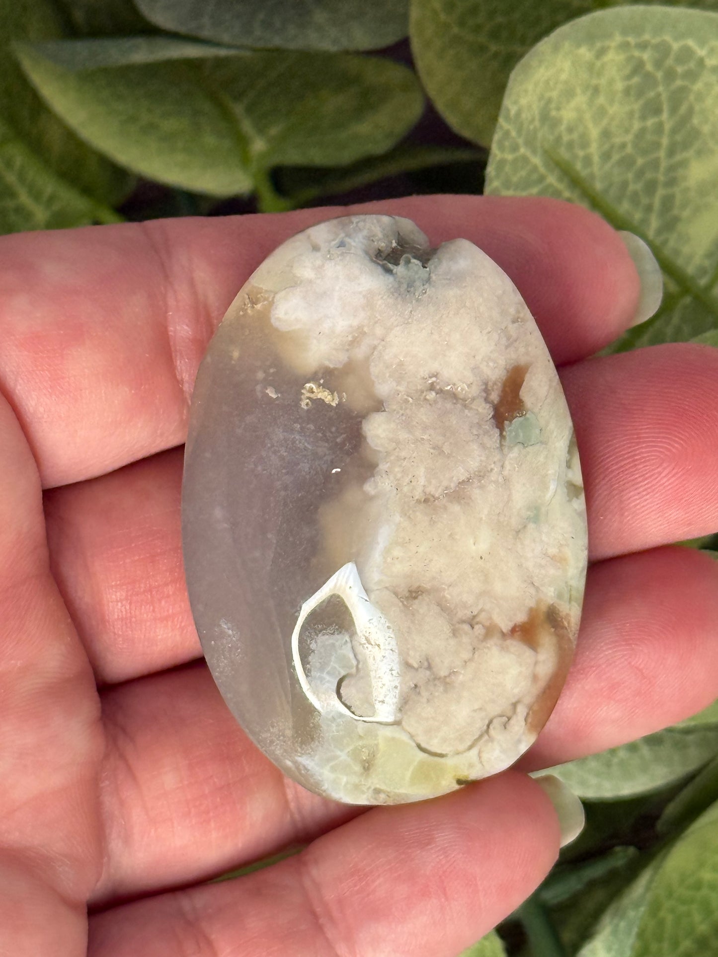 Flower Agate Palm Stones