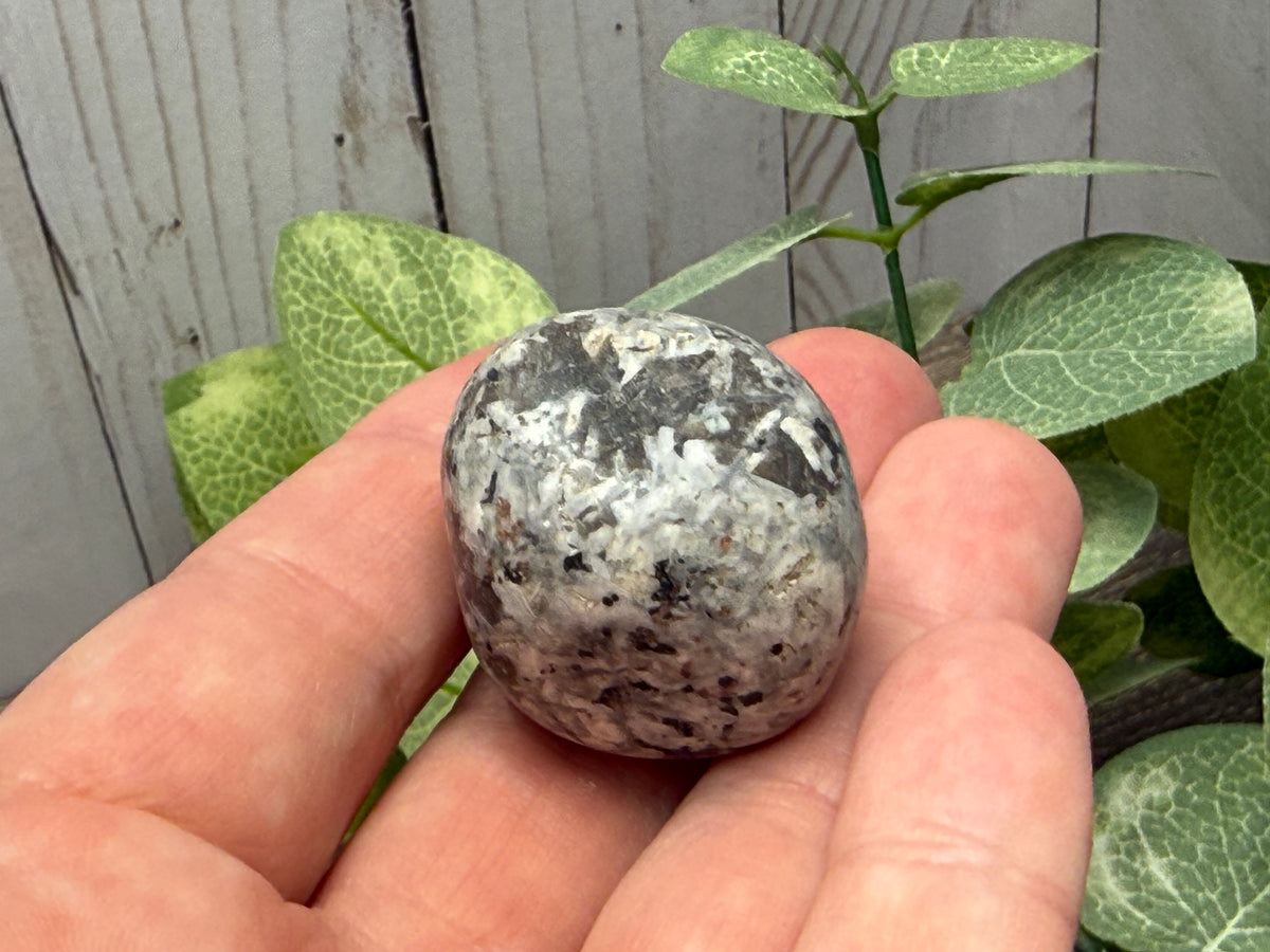 Yooperlite Tumbles