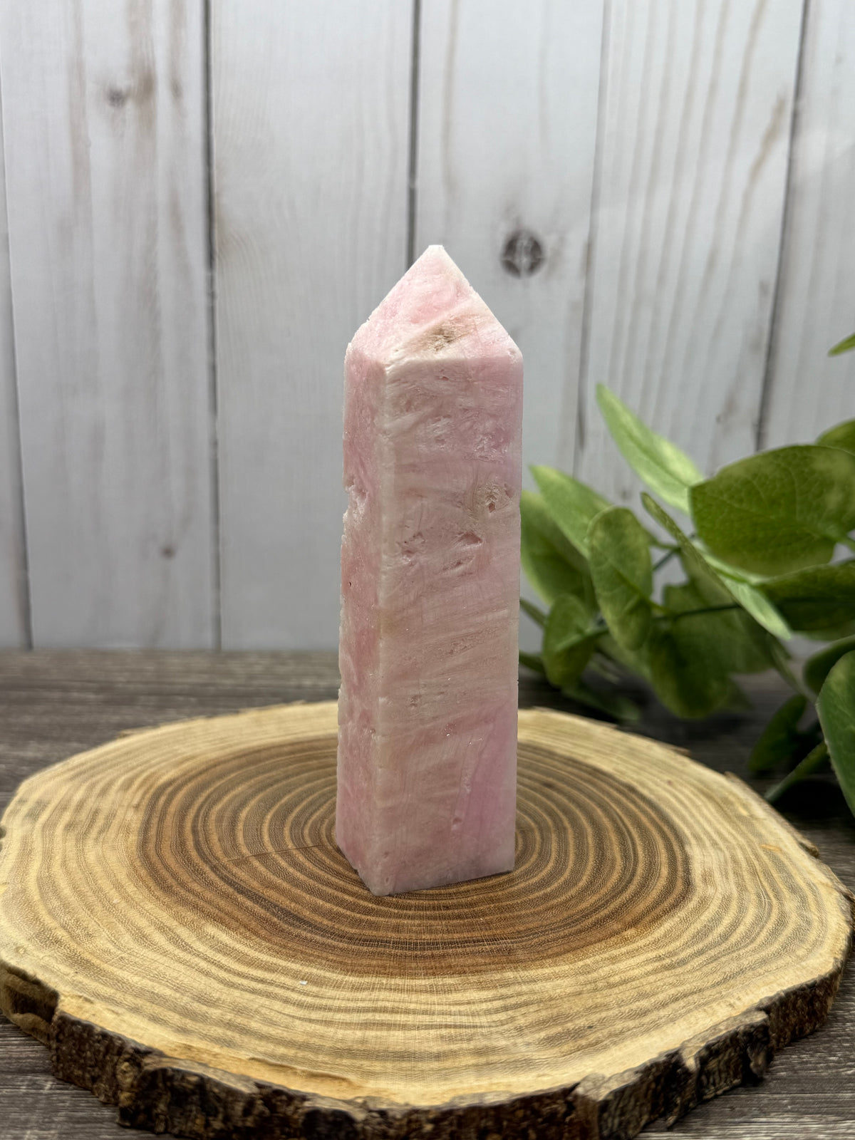 Aragonite Towers - Keep out of direct light, will fade