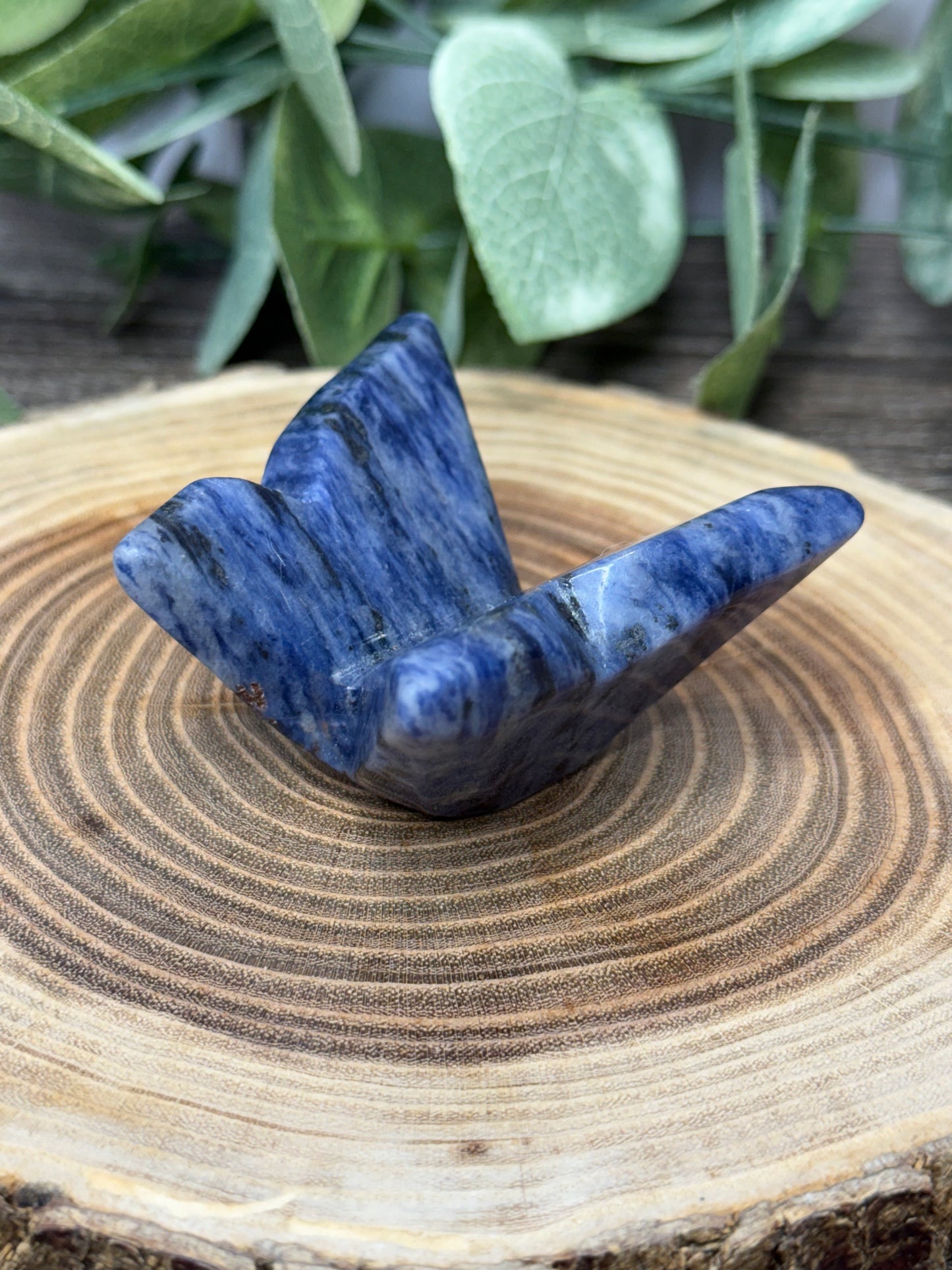 Butterfly Carvings