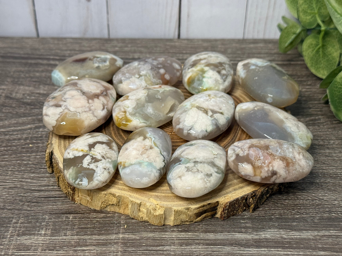 Flower Agate Palm Stones