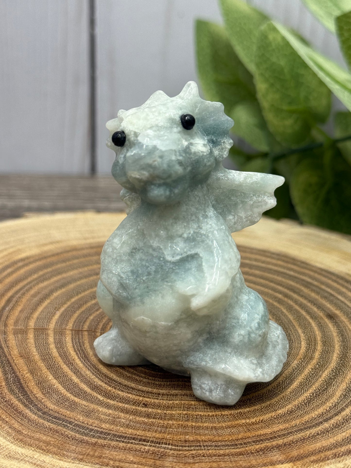 Baby Dragon - Small
