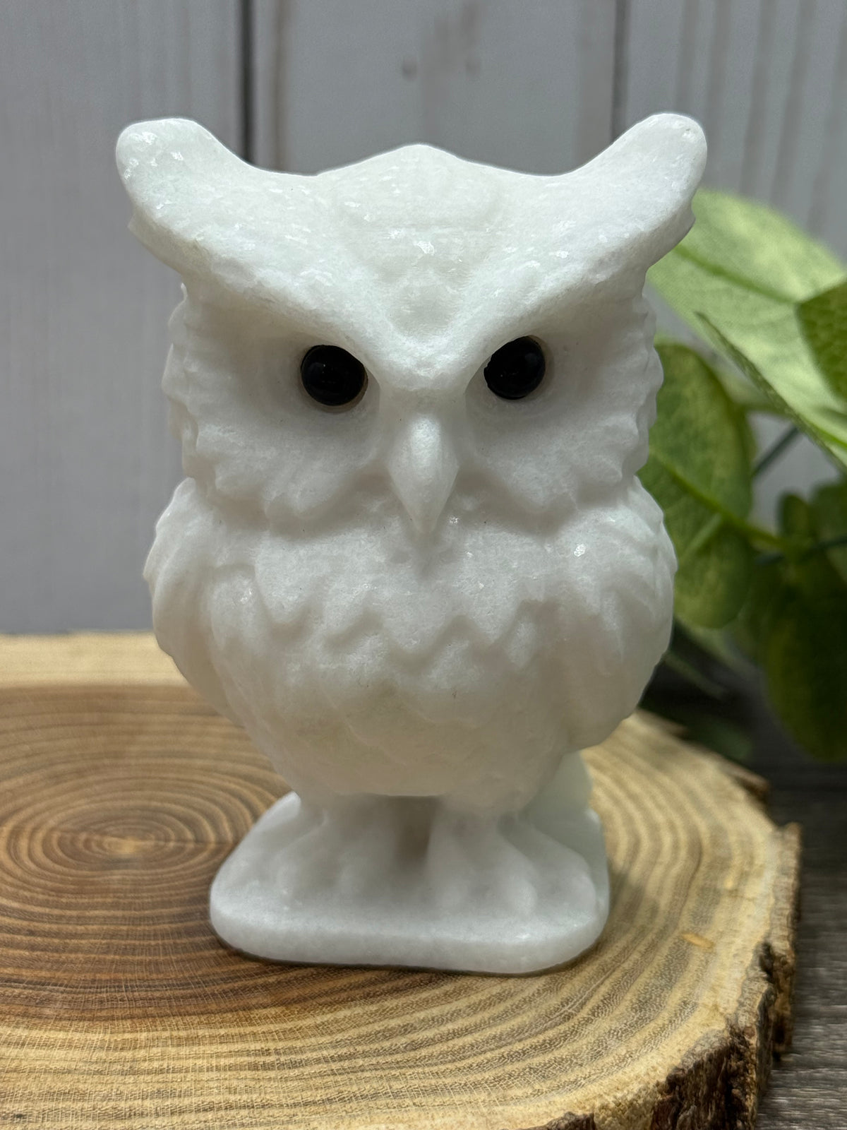 Large Owl Carvings