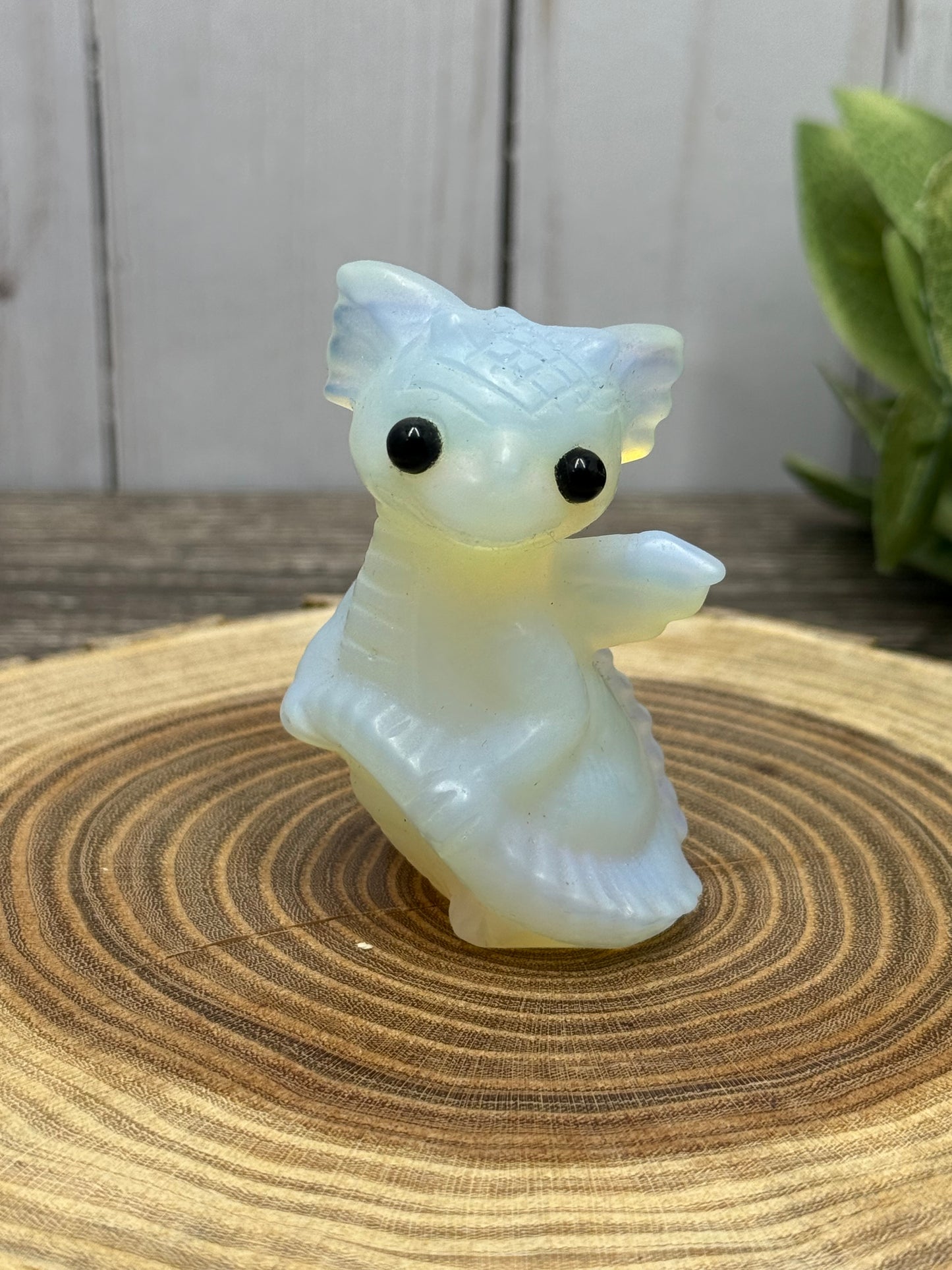 Baby Dragon - Small
